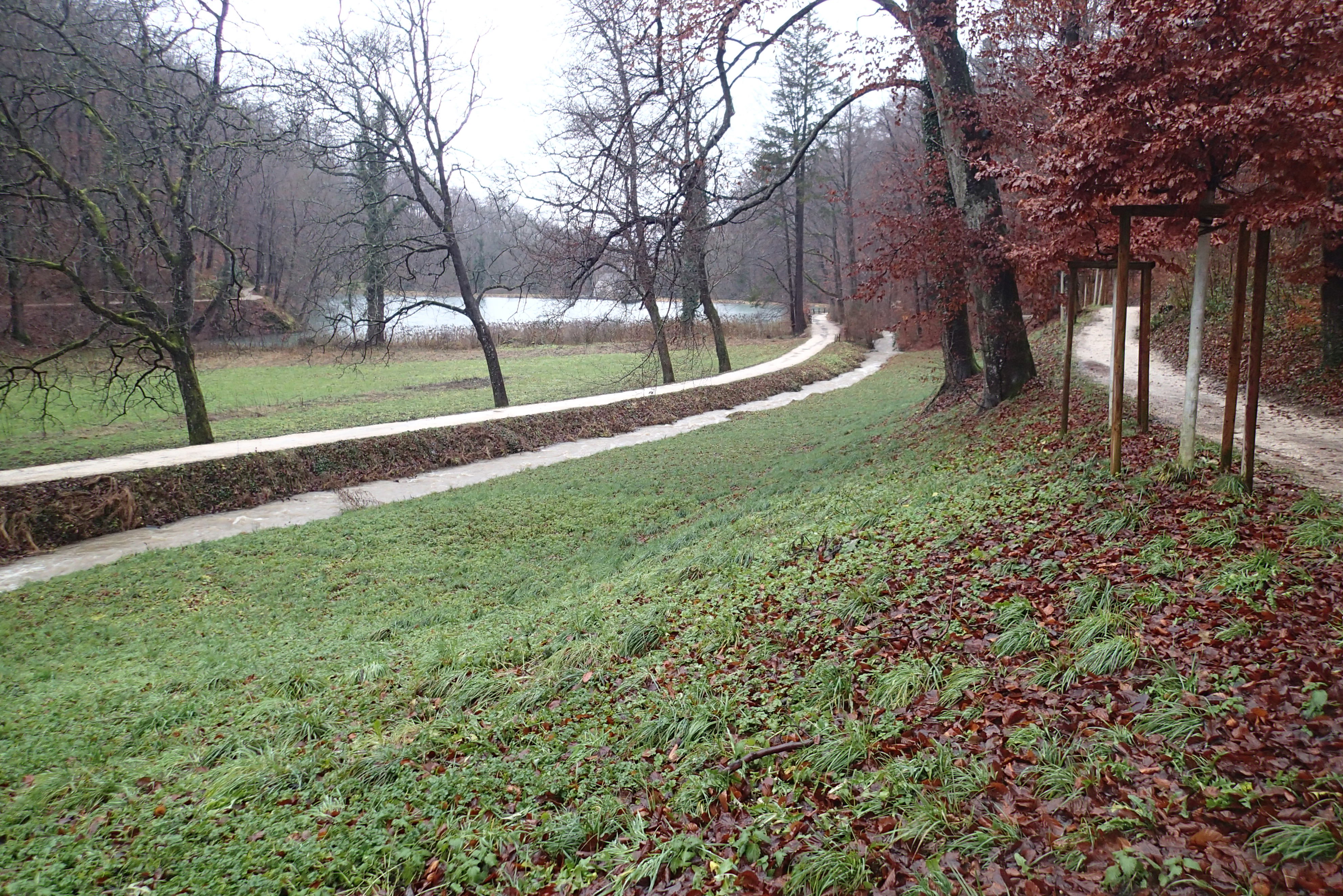 Bewegung in freier Natur Bewegung in freier Natur