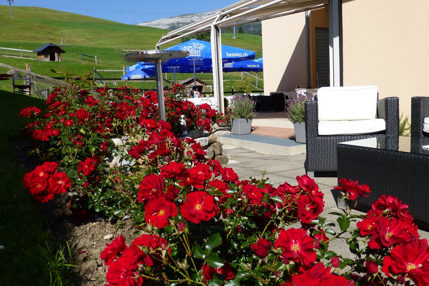 Terrasse Sommer/ Winter Terrasse Sommer/ Winter