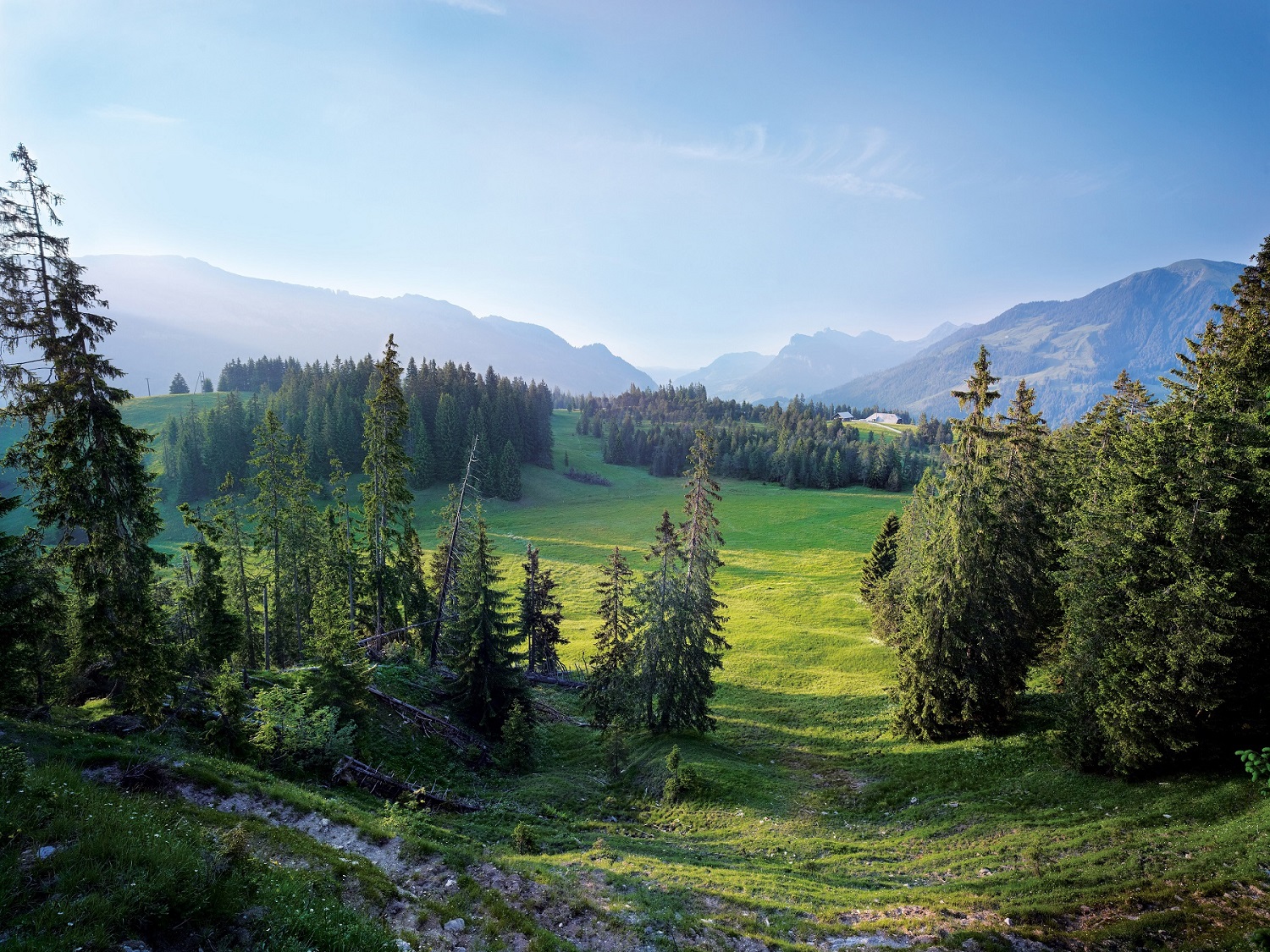 Hochmoorgebiet Salwideli Hochmoorgebiet Salwideli