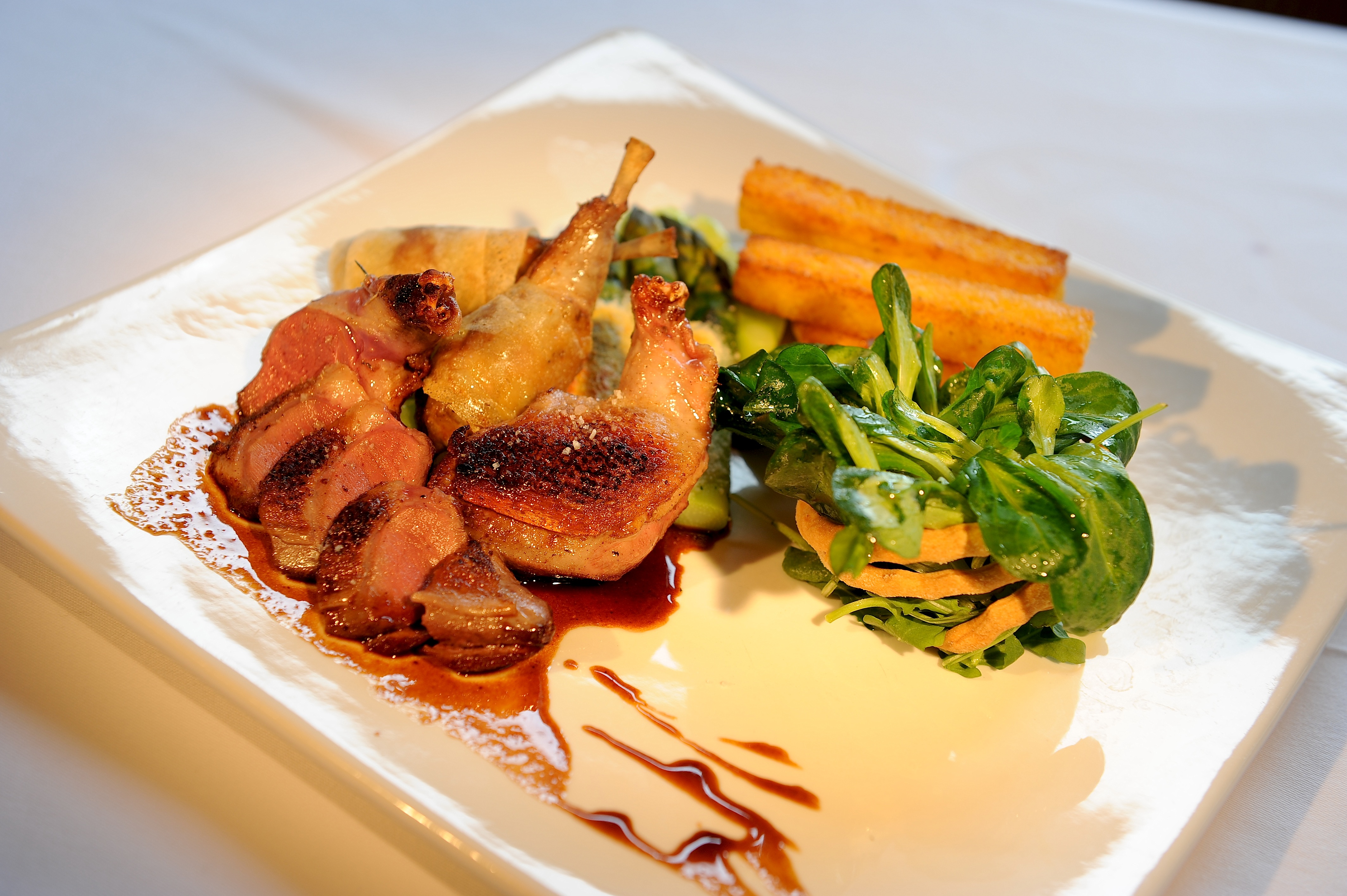 Taubenbrust Taubenbrust