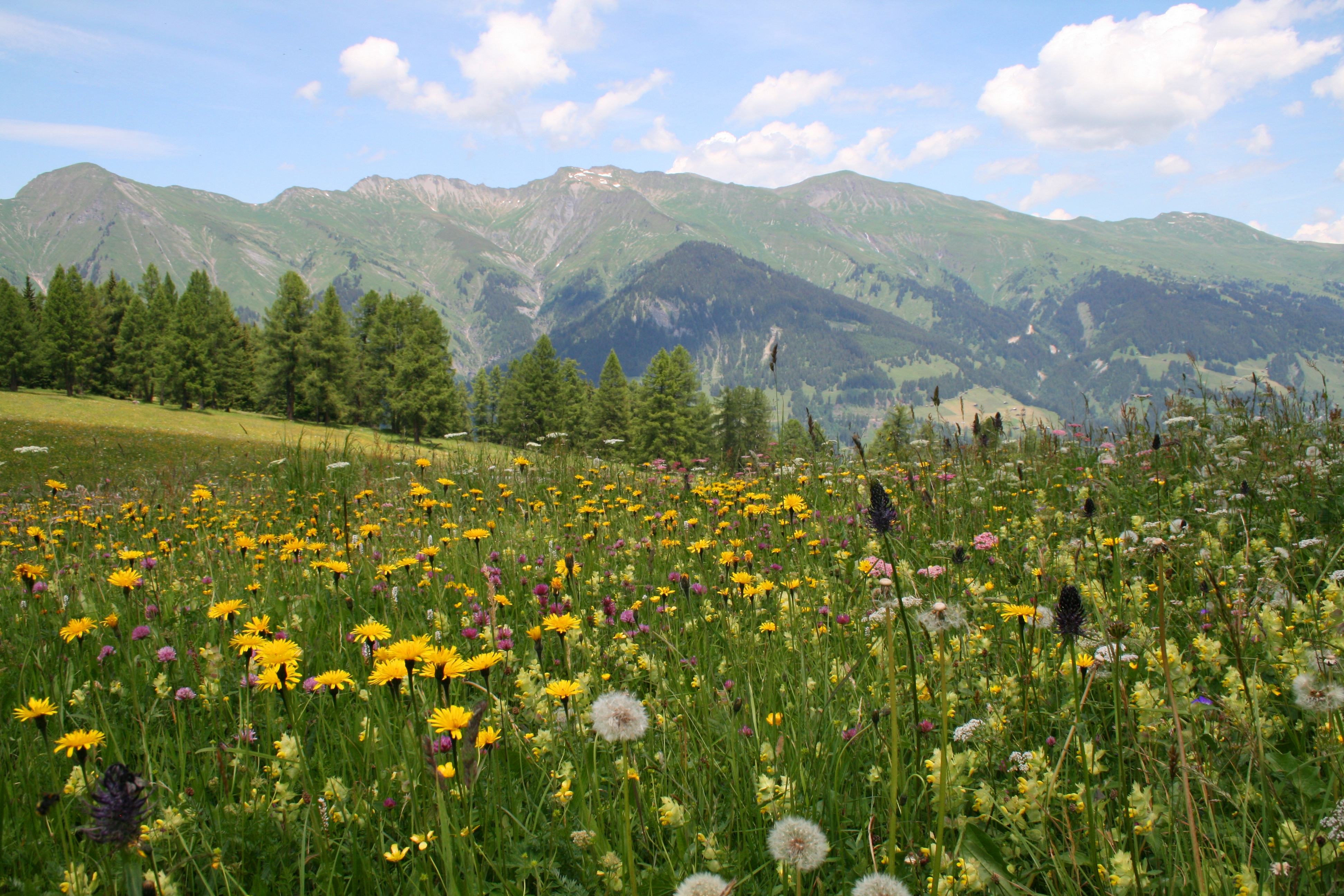 Genusswandern Genusswandern