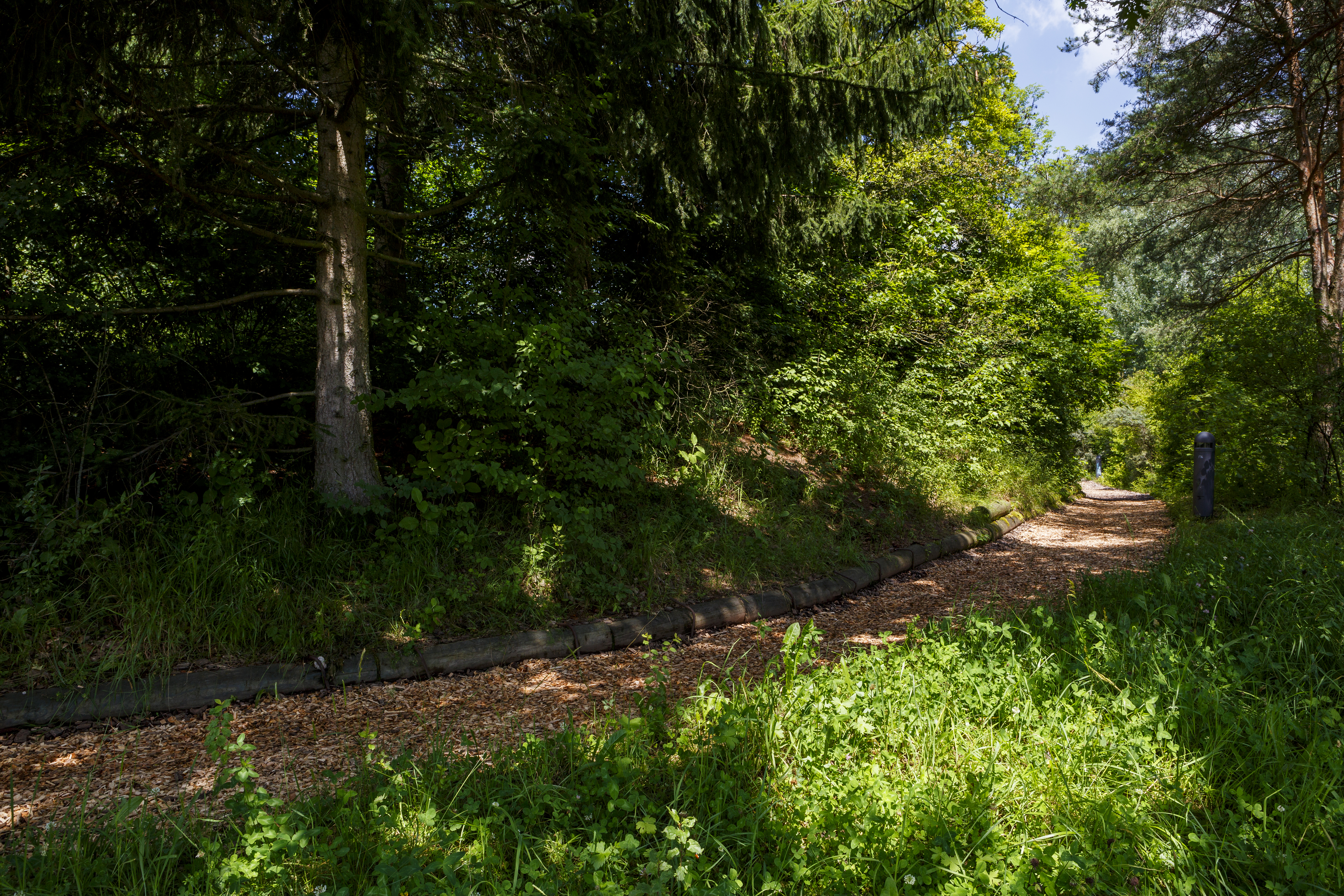 Irchelpark Irchelpark