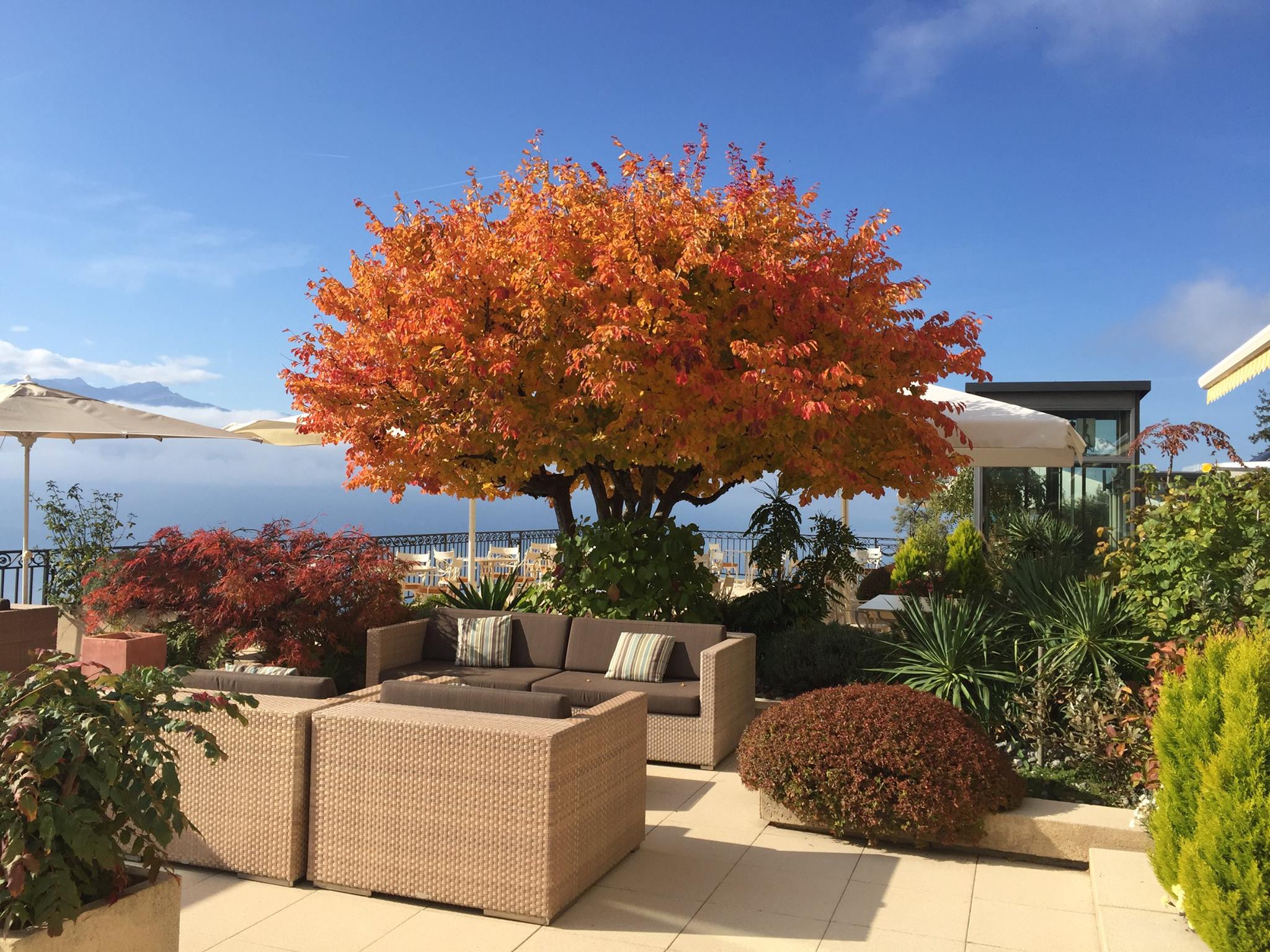 Garden/Terrace Garden/Terrace