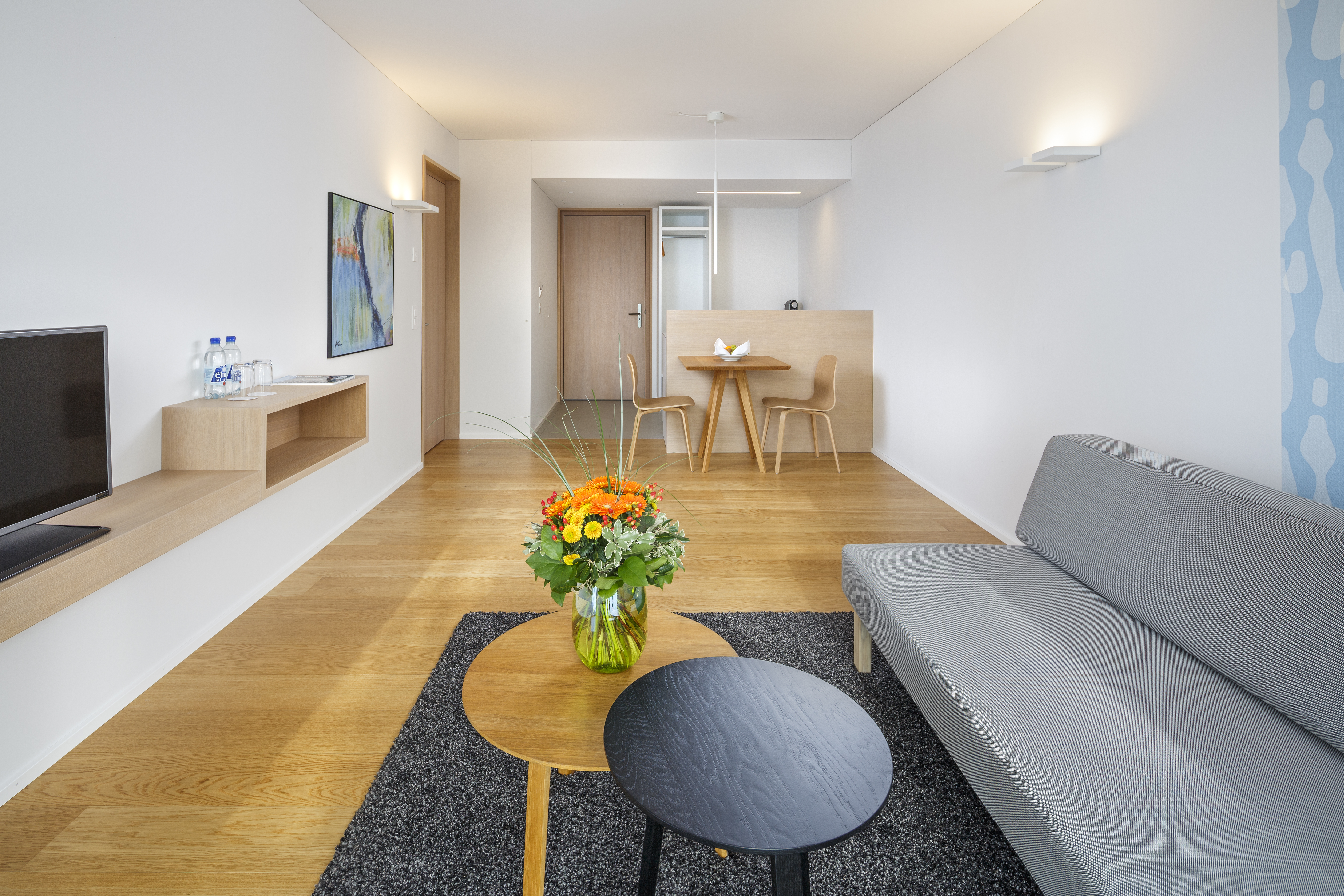 Apartment living room Apartment living room