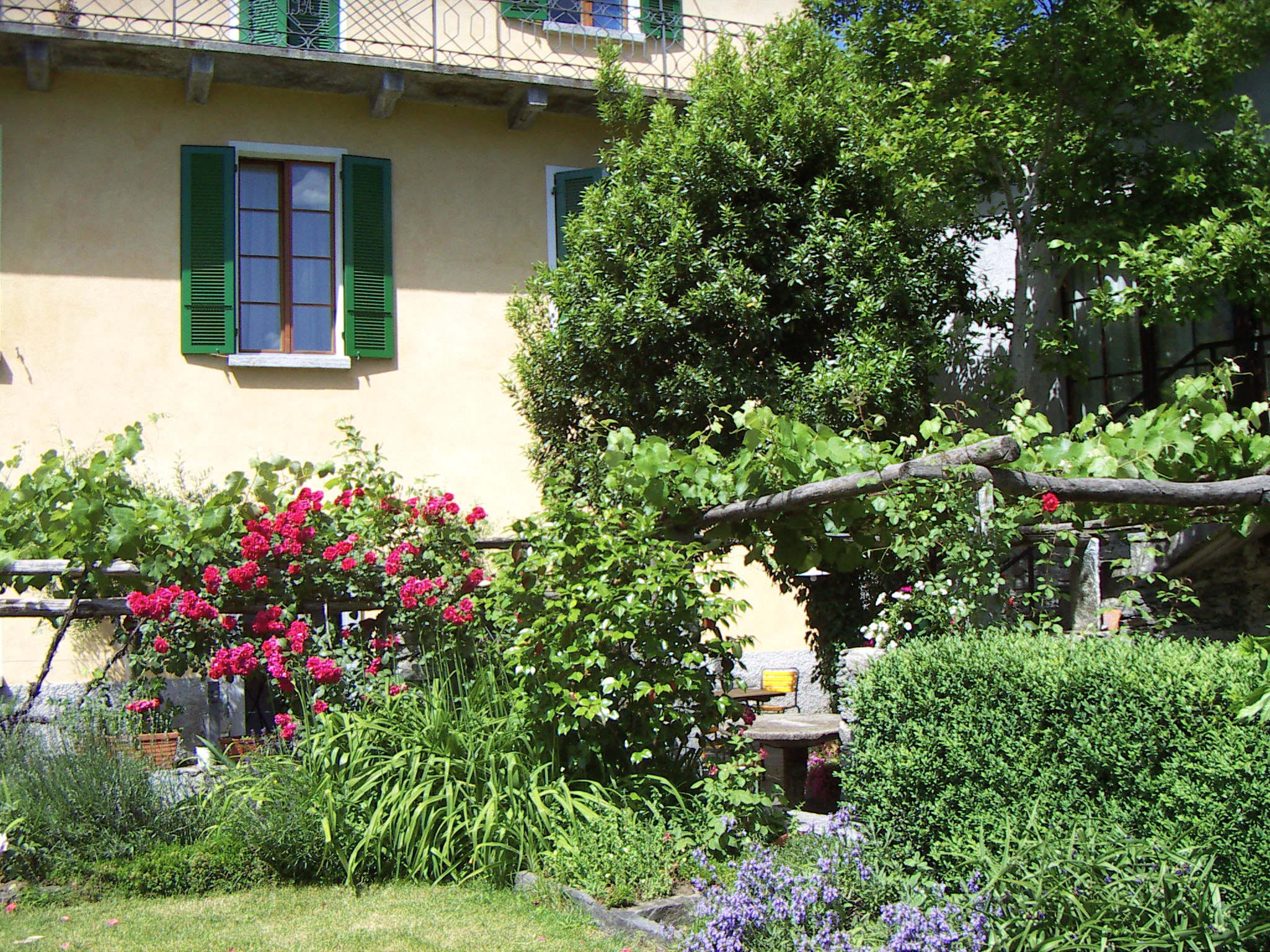 Pensione Casa Gialla – Bild