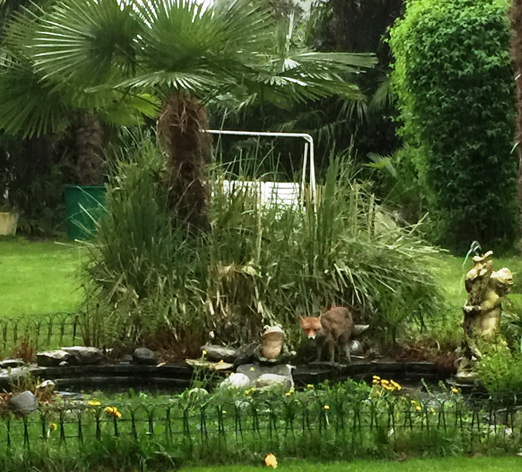 Finden Sie den Fuchs :) Finden Sie den Fuchs :)