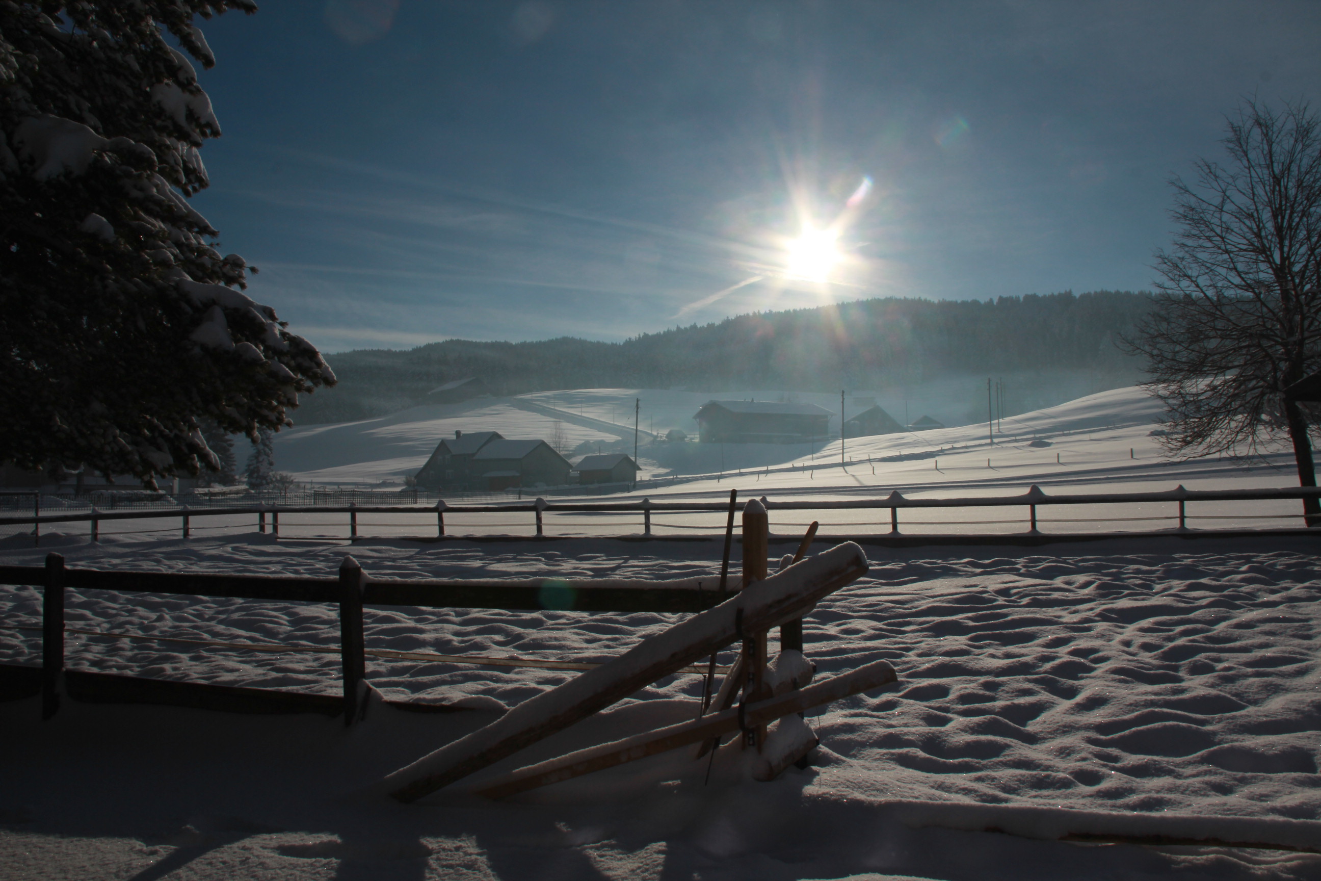 Pferdeplatz Winter Bären - Das Gästehaus Pferdeplatz Winter Bären - Das Gästehaus