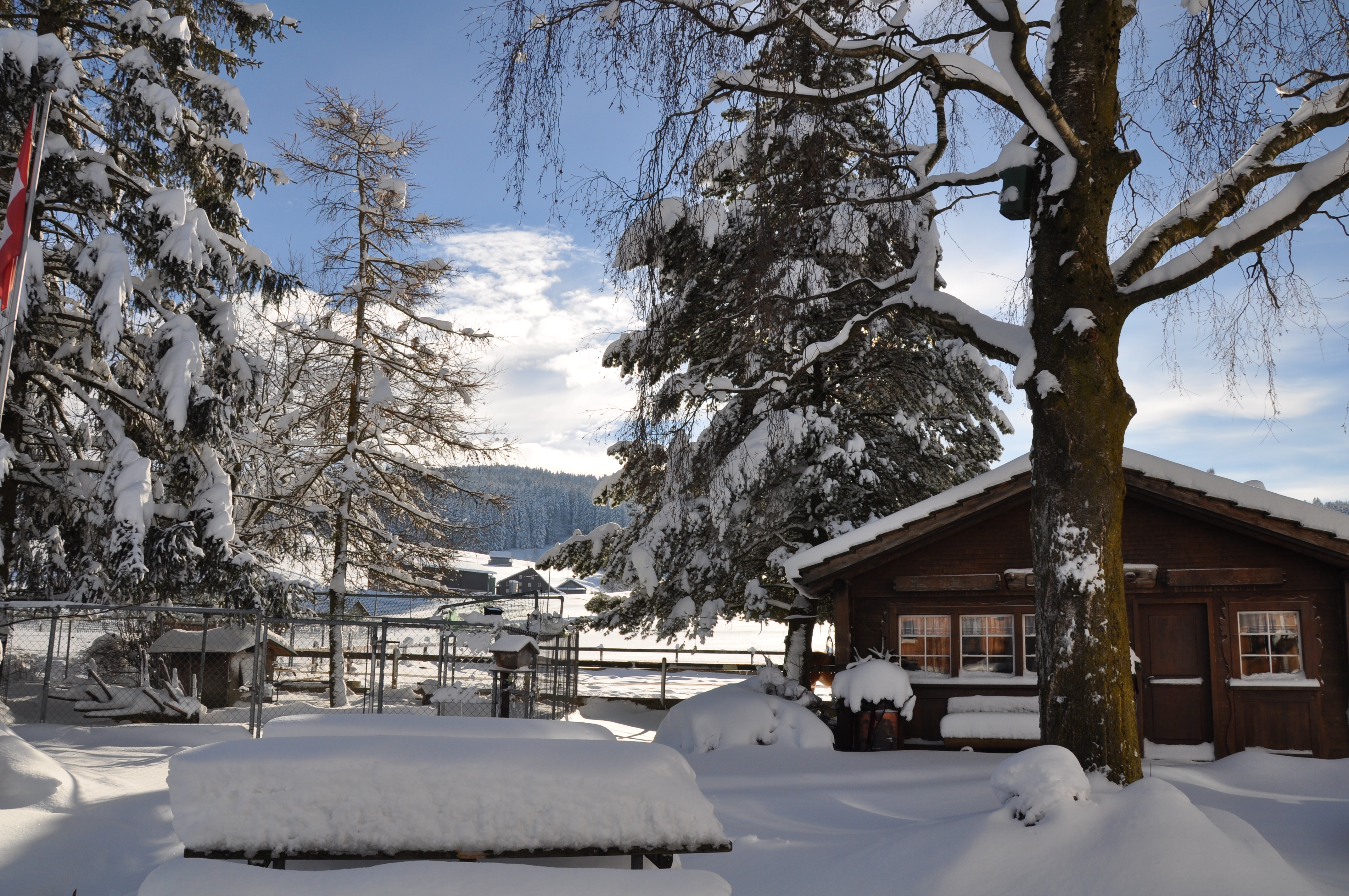 Garten Winter Garten Winter