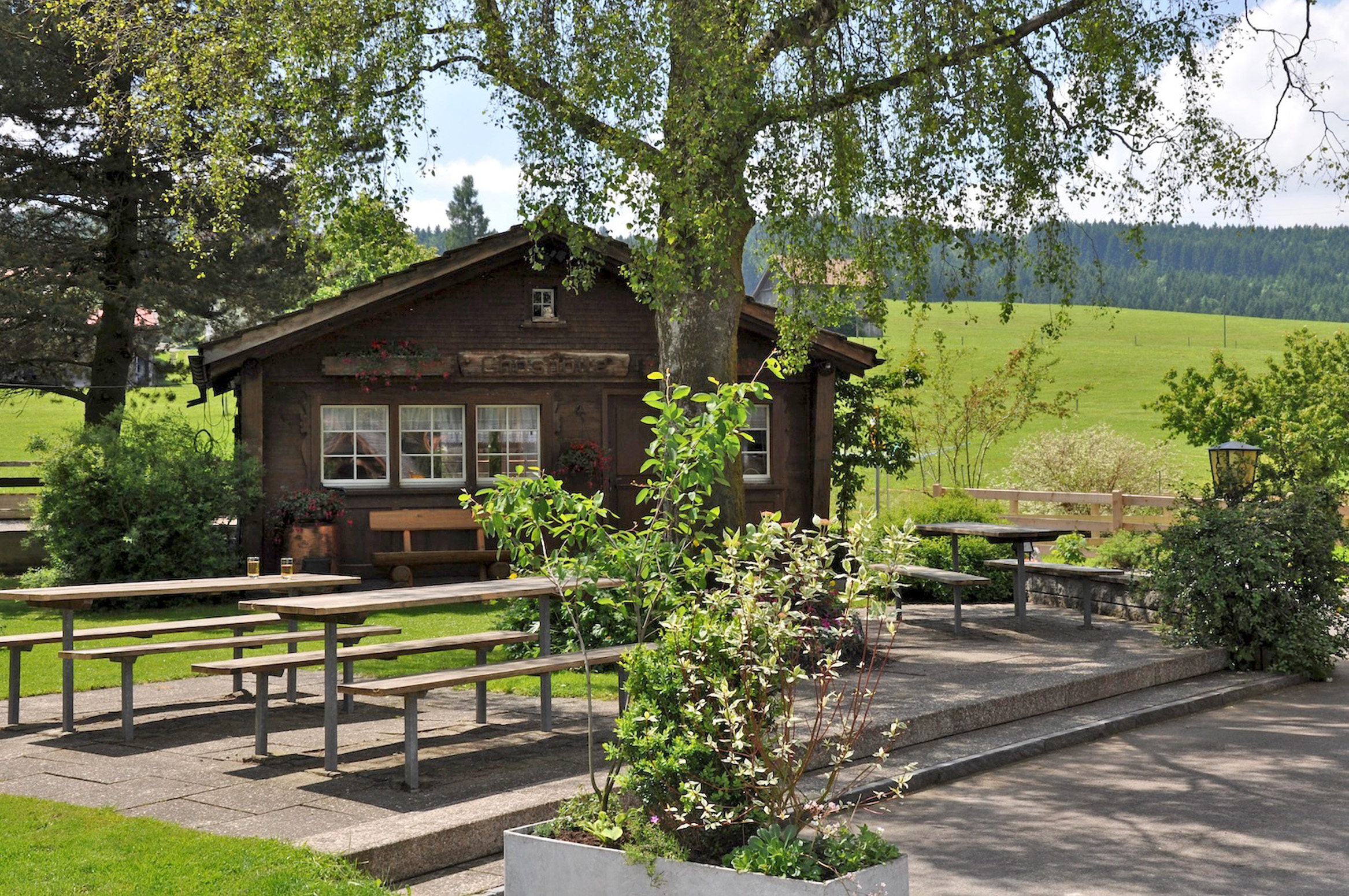 Garten Sommer Garten Sommer