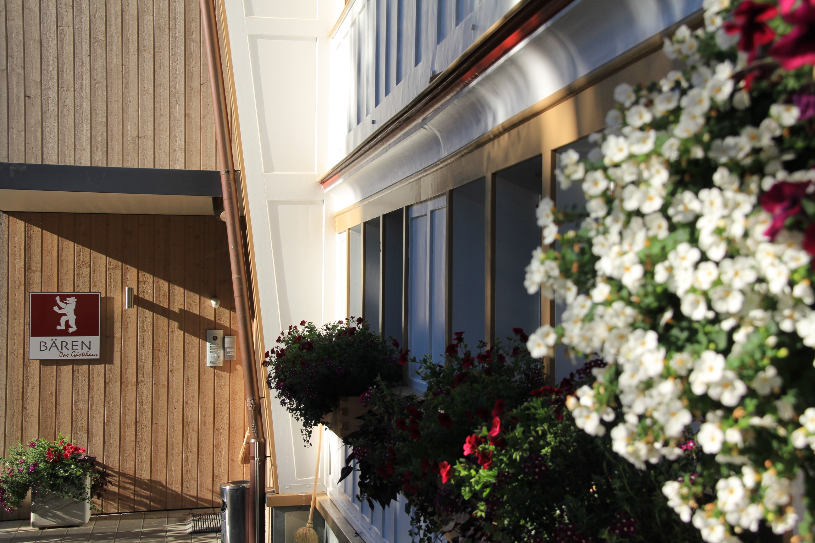 Blumen Sommer Blumen Sommer