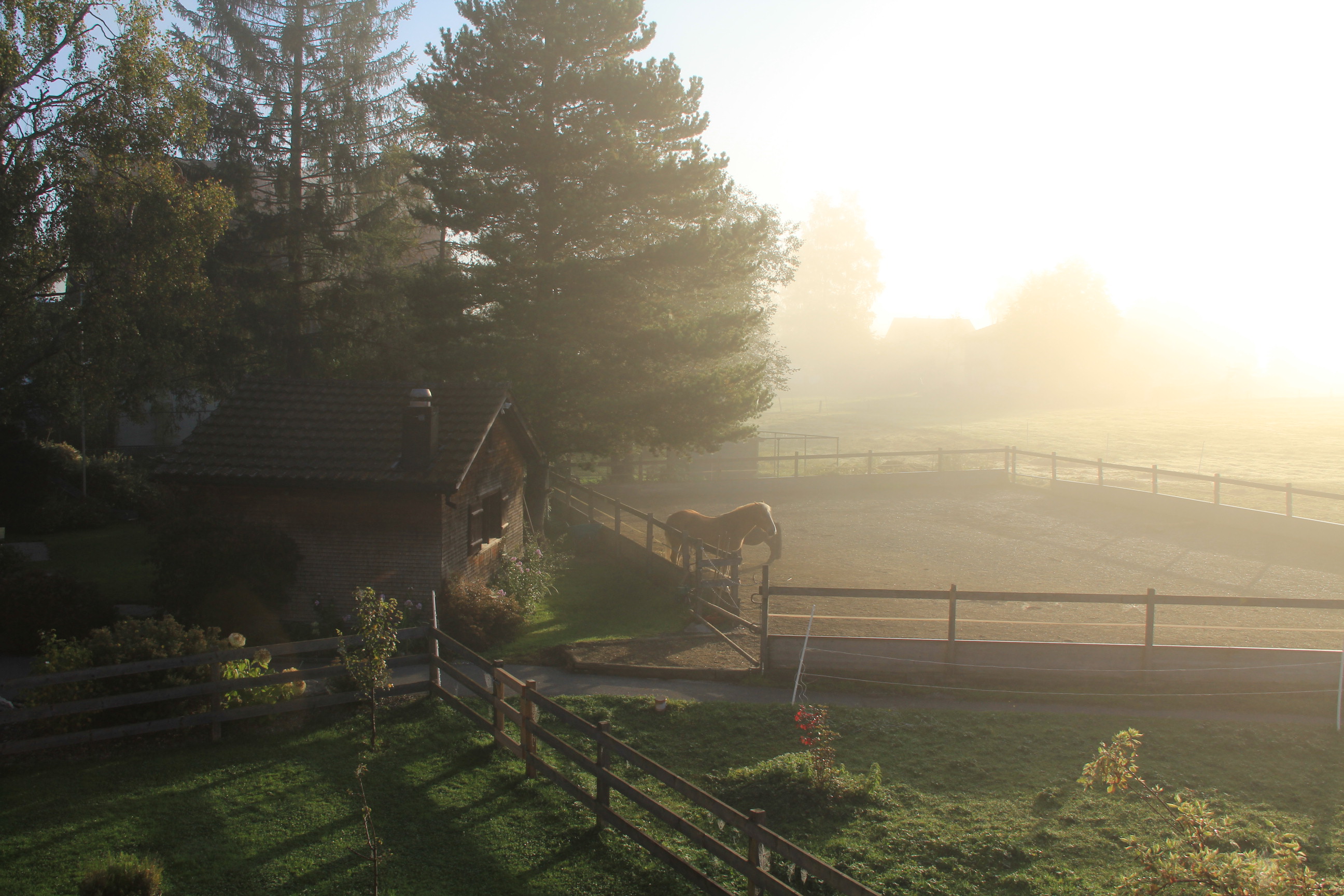 Morgennebel Sommer Morgennebel Sommer