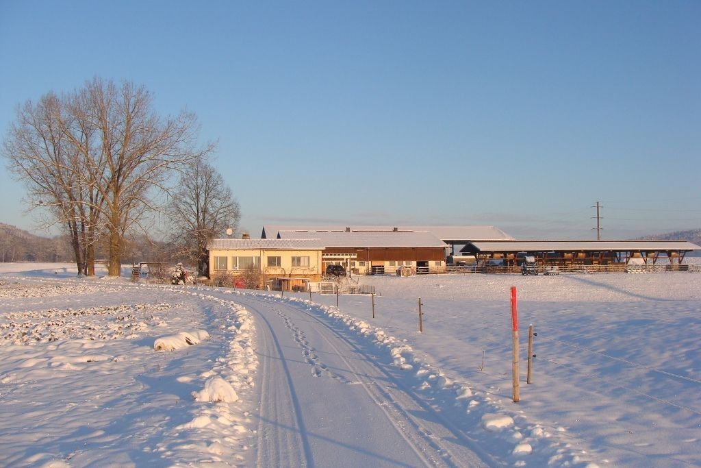 Bio- und Erlebnisbauernhof Bolderhof – Bild