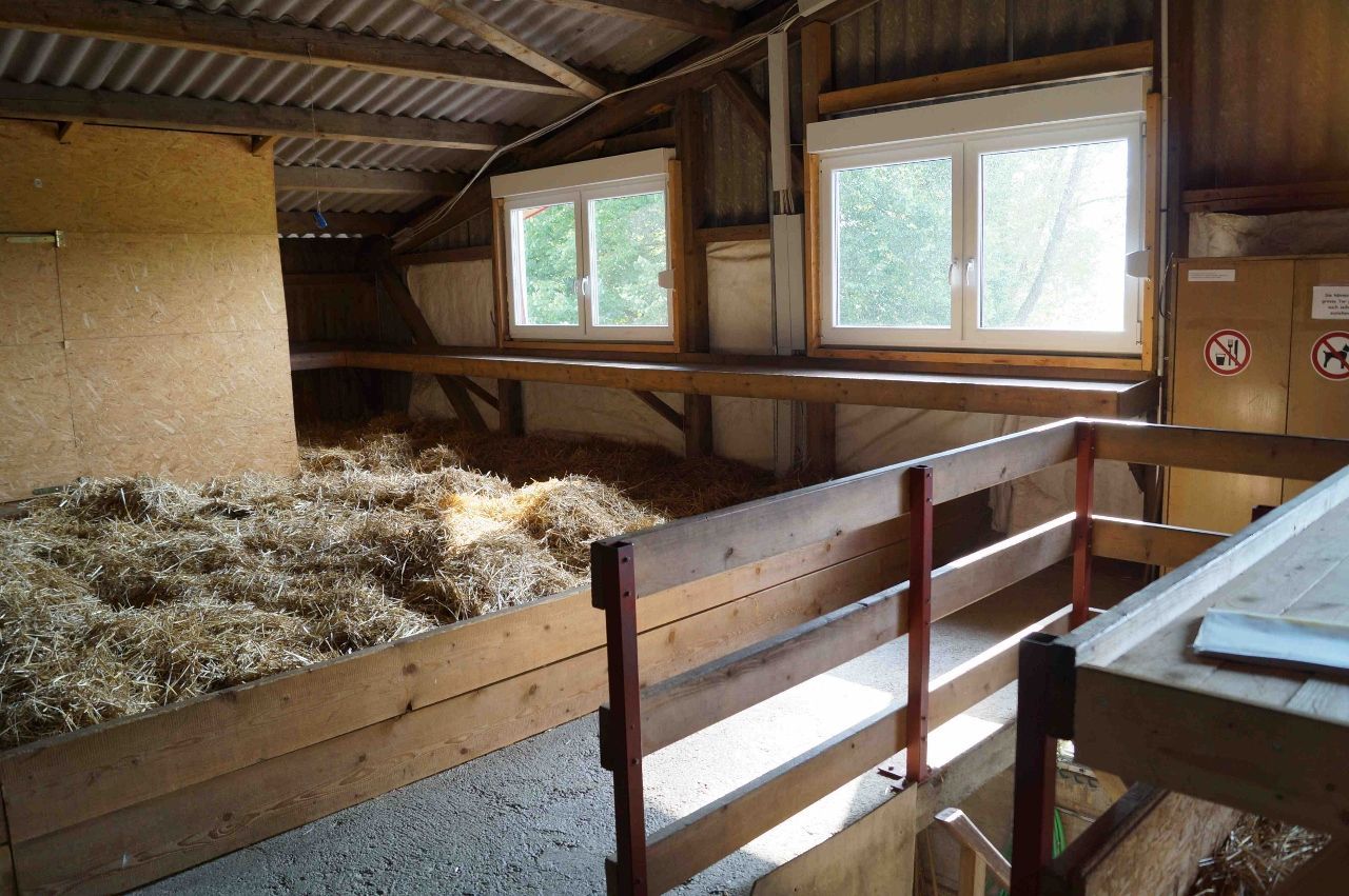 Bio- und Erlebnisbauernhof Bolderhof – Bild