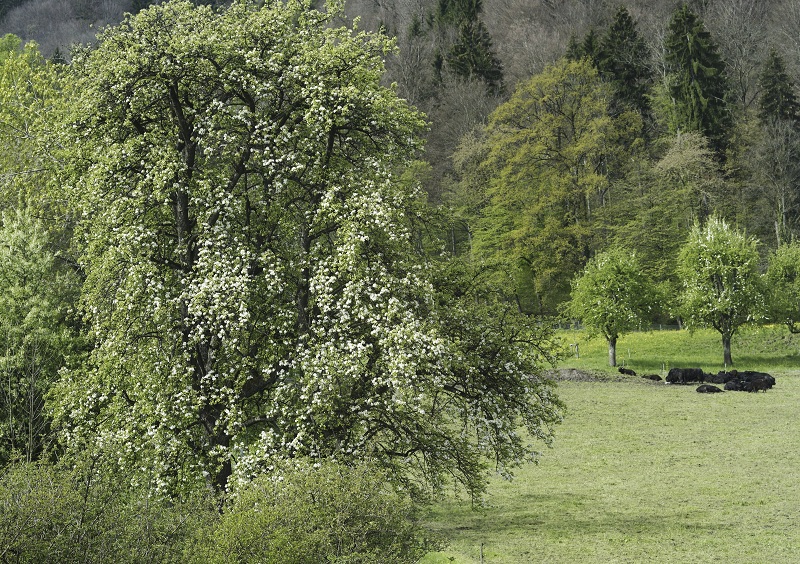 the guests' house Hotel Zürich – Bild