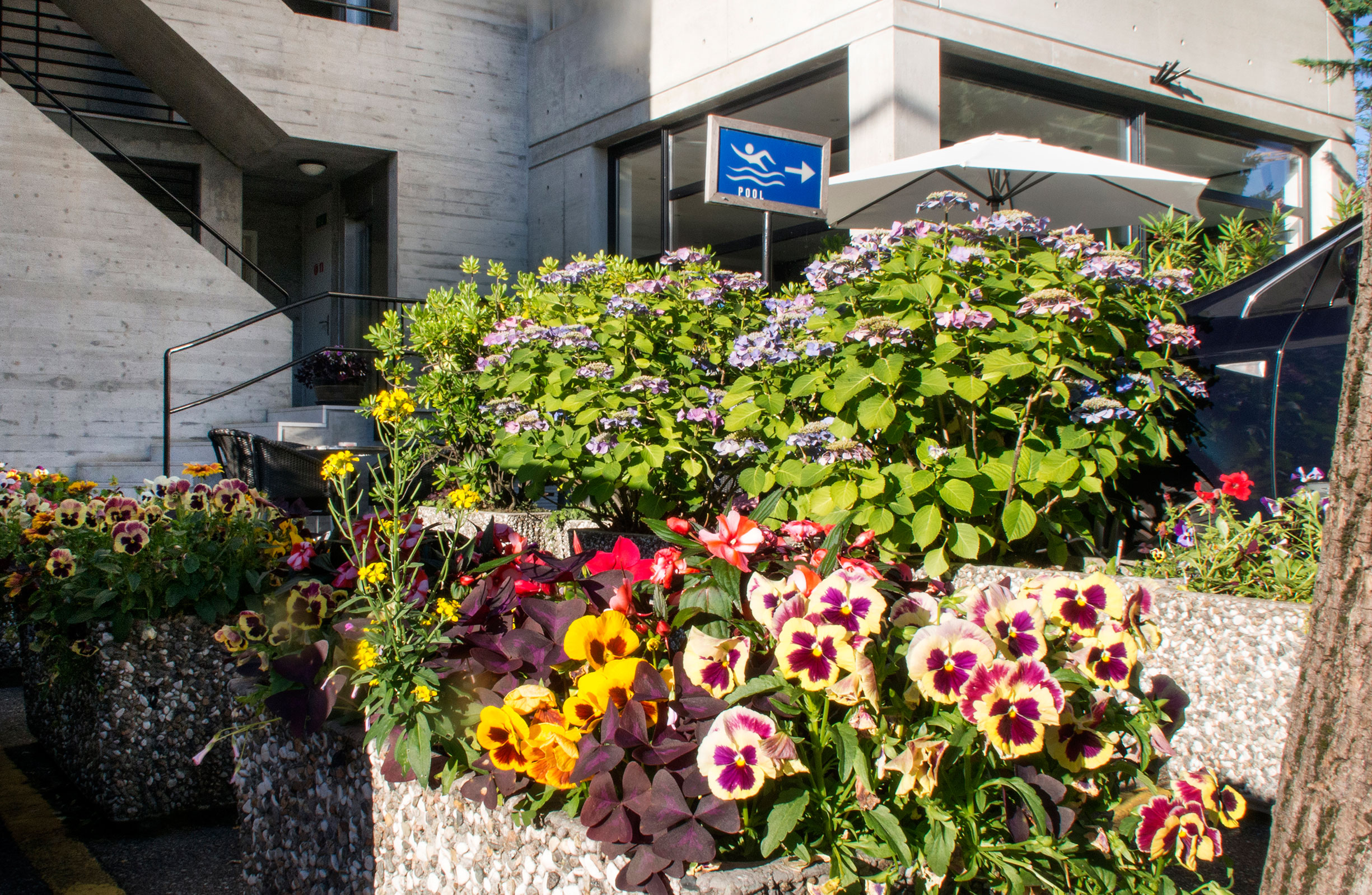 Hotel Nessi – Bild