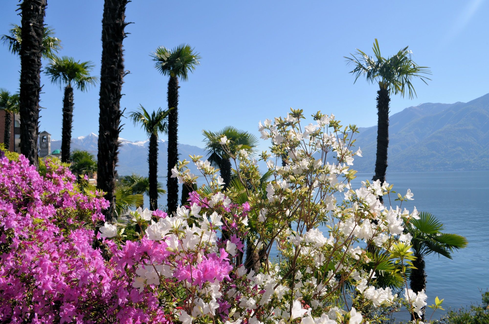 Hotel Garni Rivabella au Lac – Bild