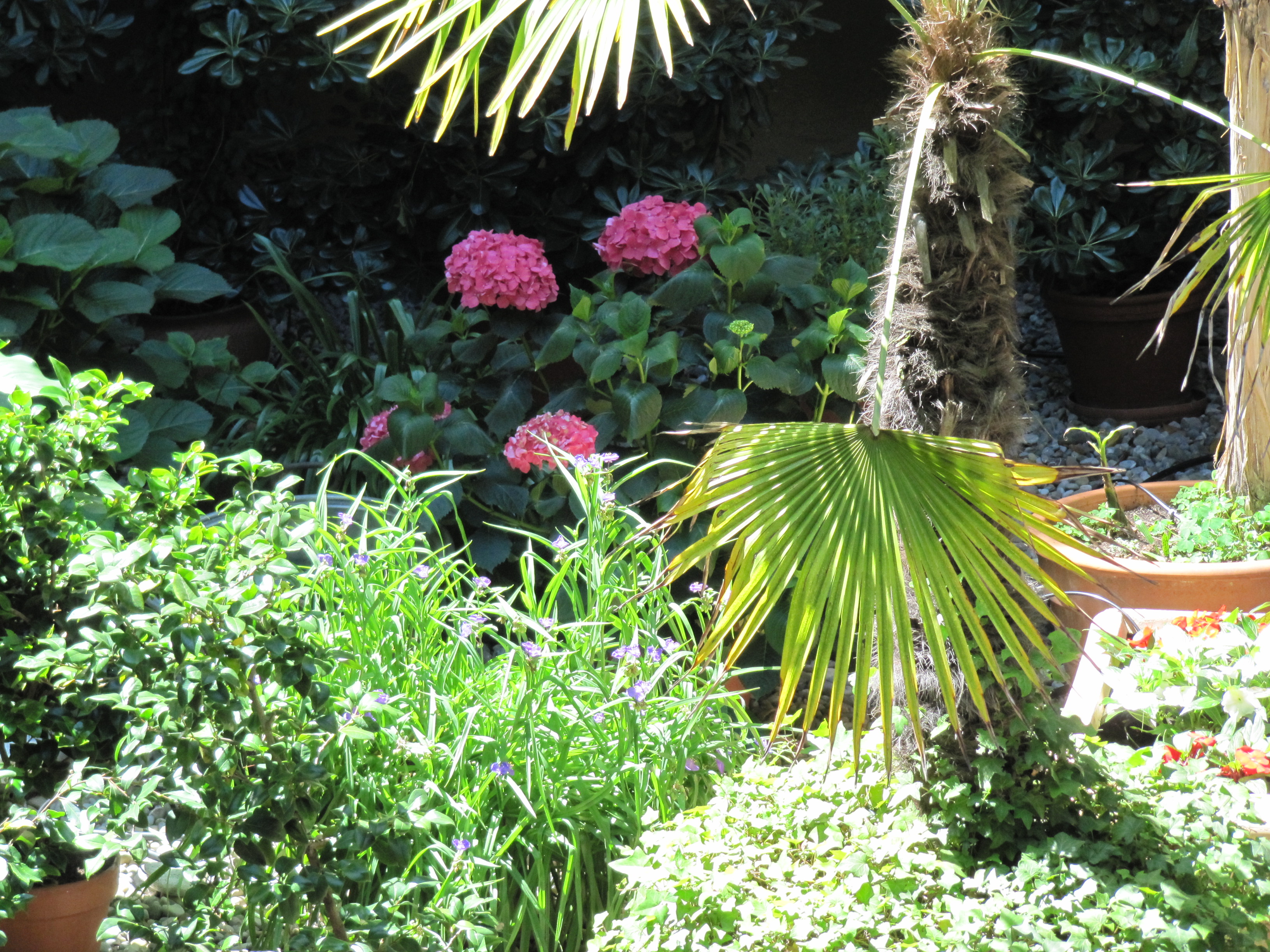 Court yard Court yard