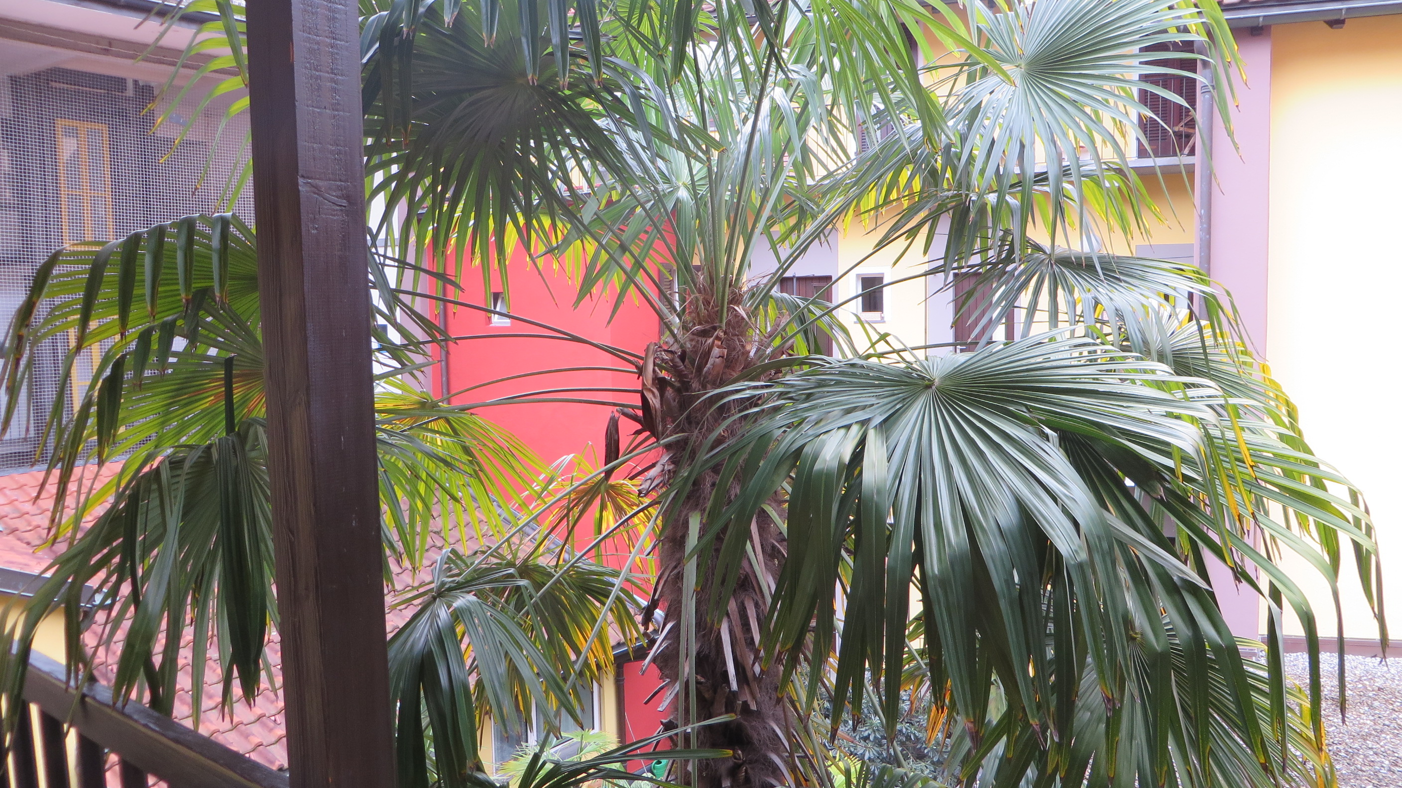 View from Attic Apartment View from Attic Apartment