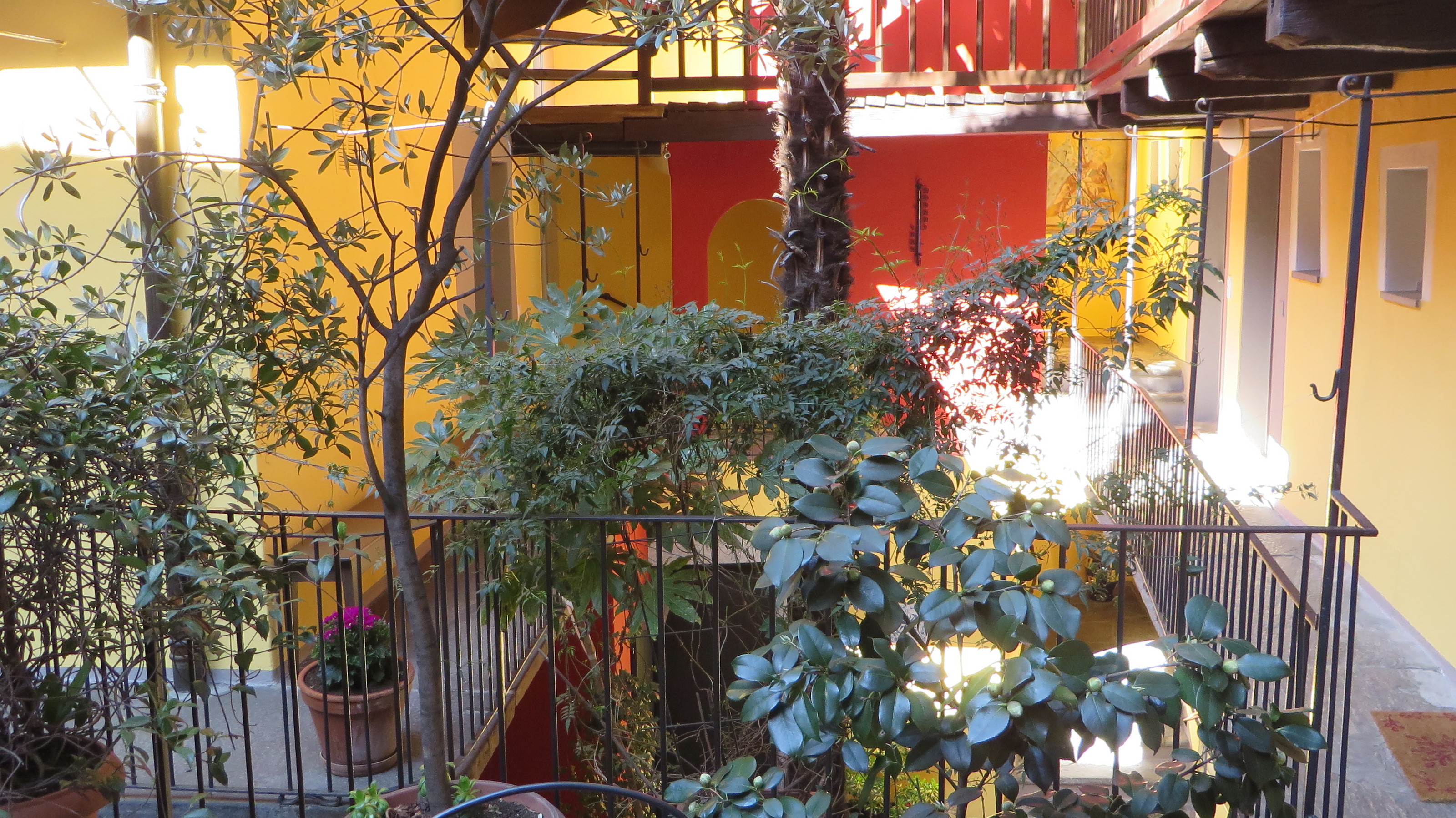 court yard court yard