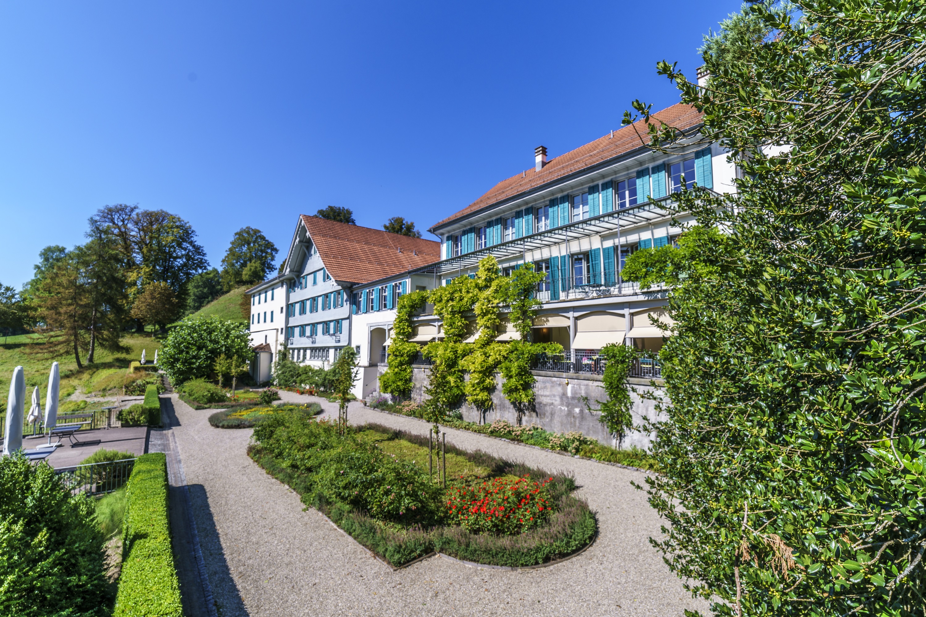 Rückseite Garten Rückseite Garten