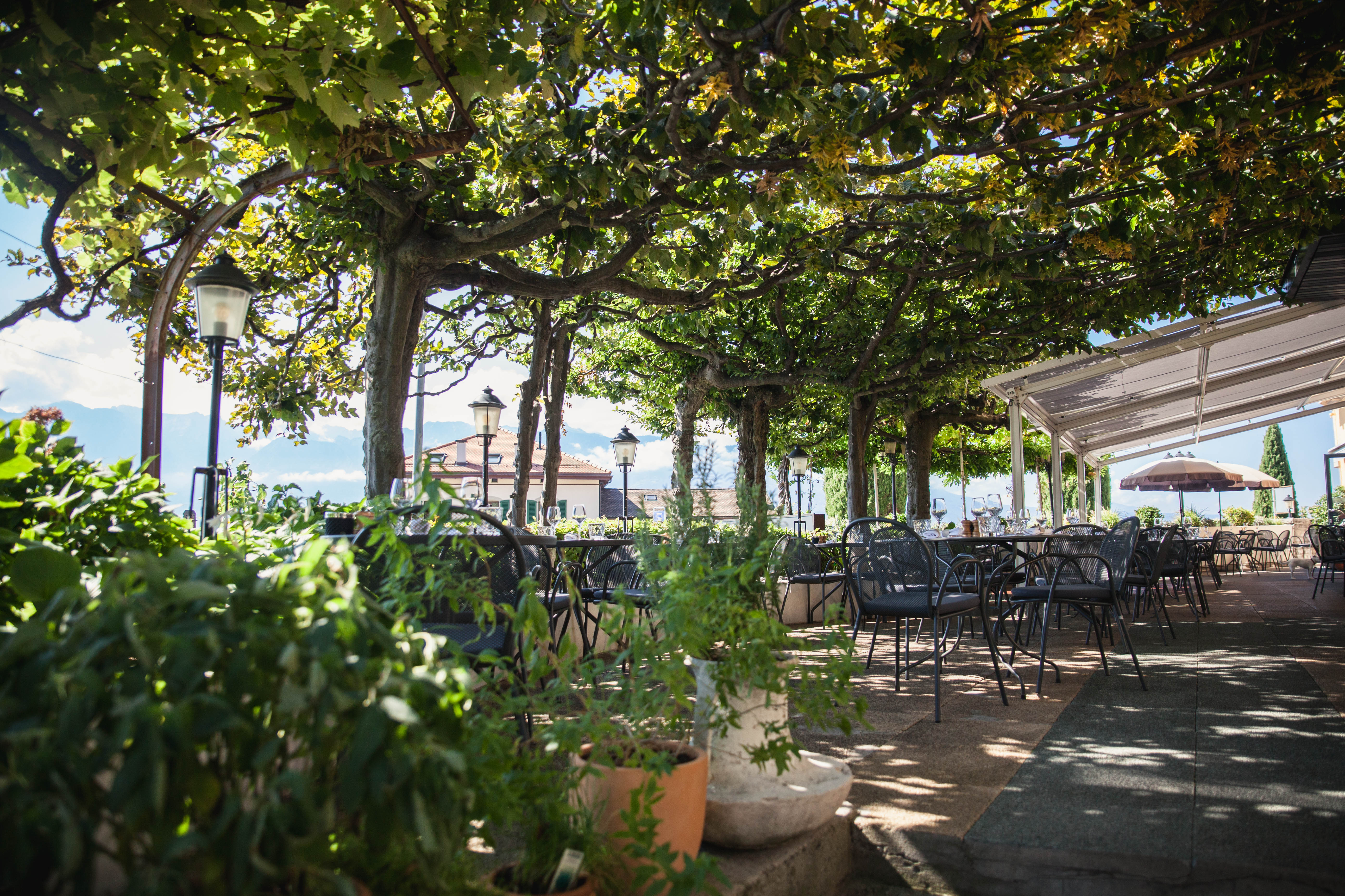 Auberge de Rivaz – Bild