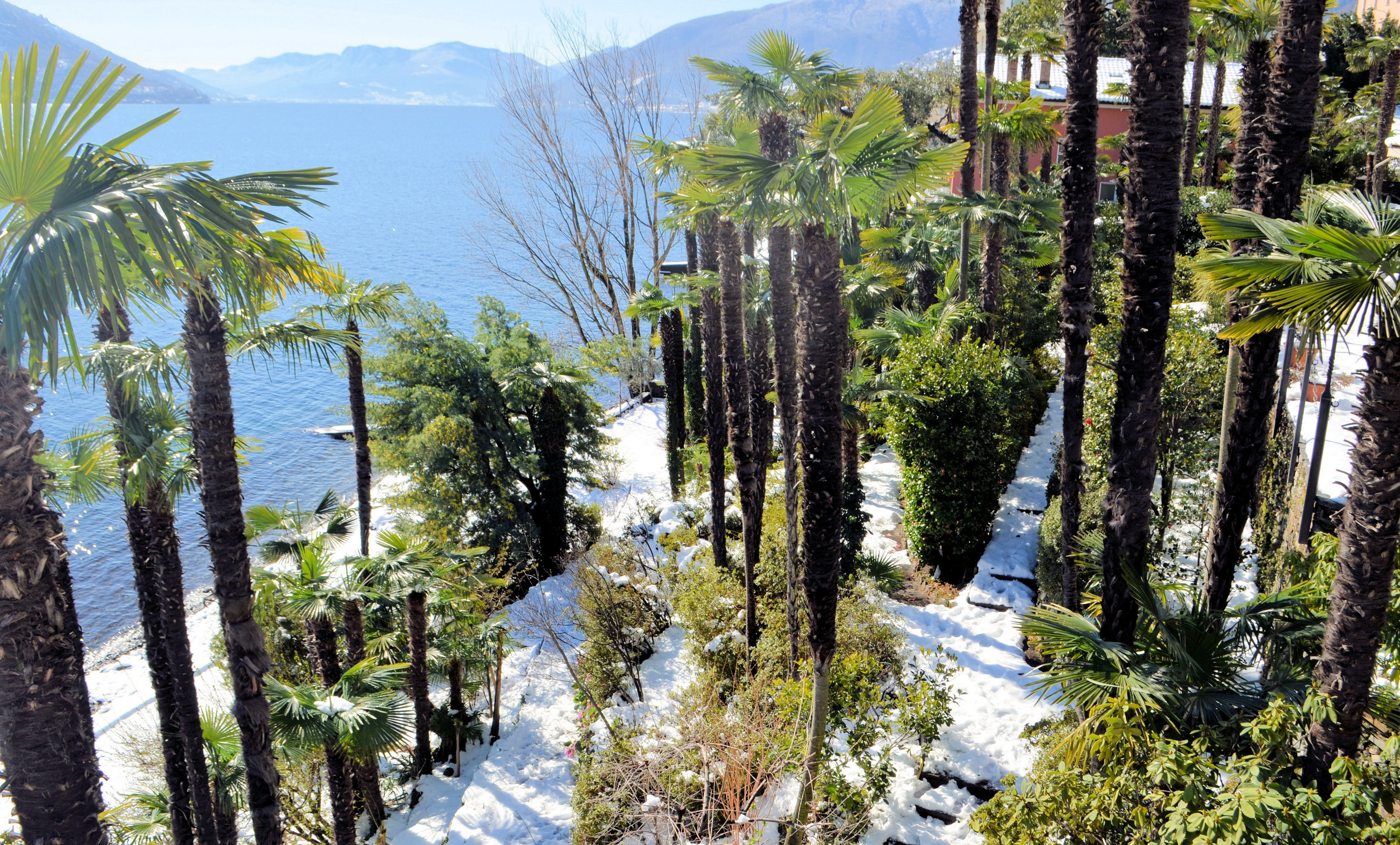 Giardino d'inverno Giardino d'inverno