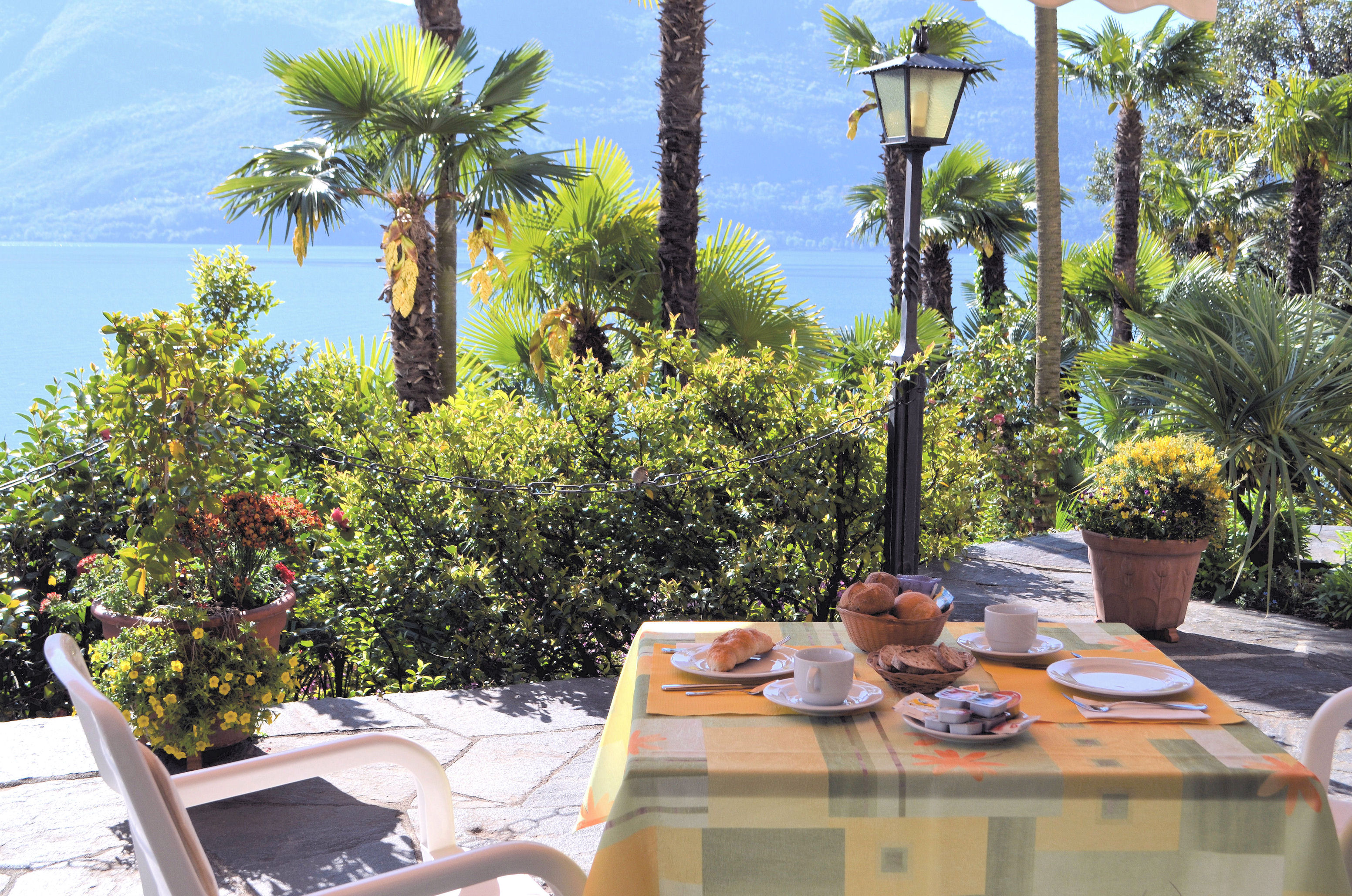 Colazione in terrazza Colazione in terrazza