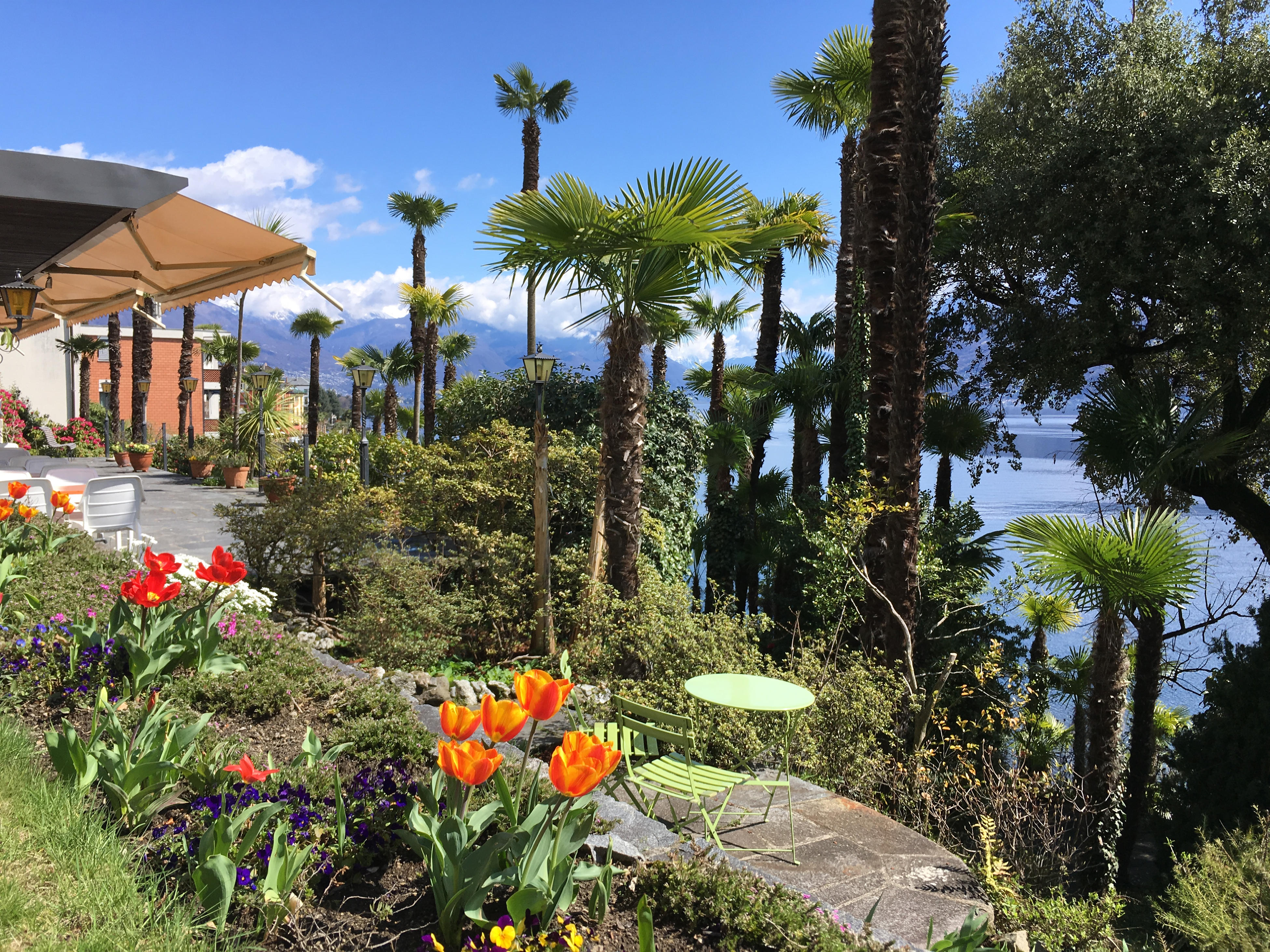 Il giardino Il giardino