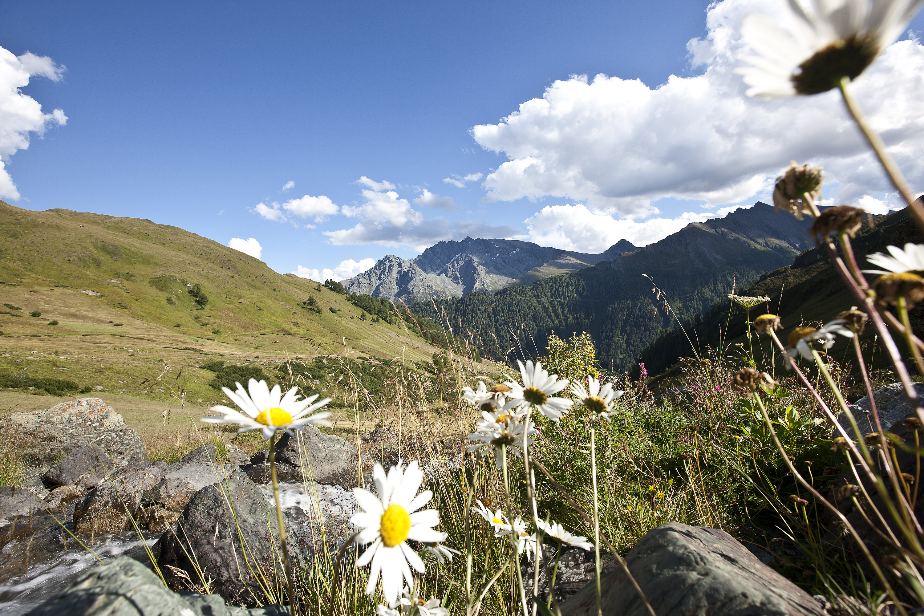 Wellnesshotel Engadin – Bild