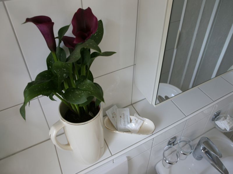 Hotel Restaurant Morgarten – image