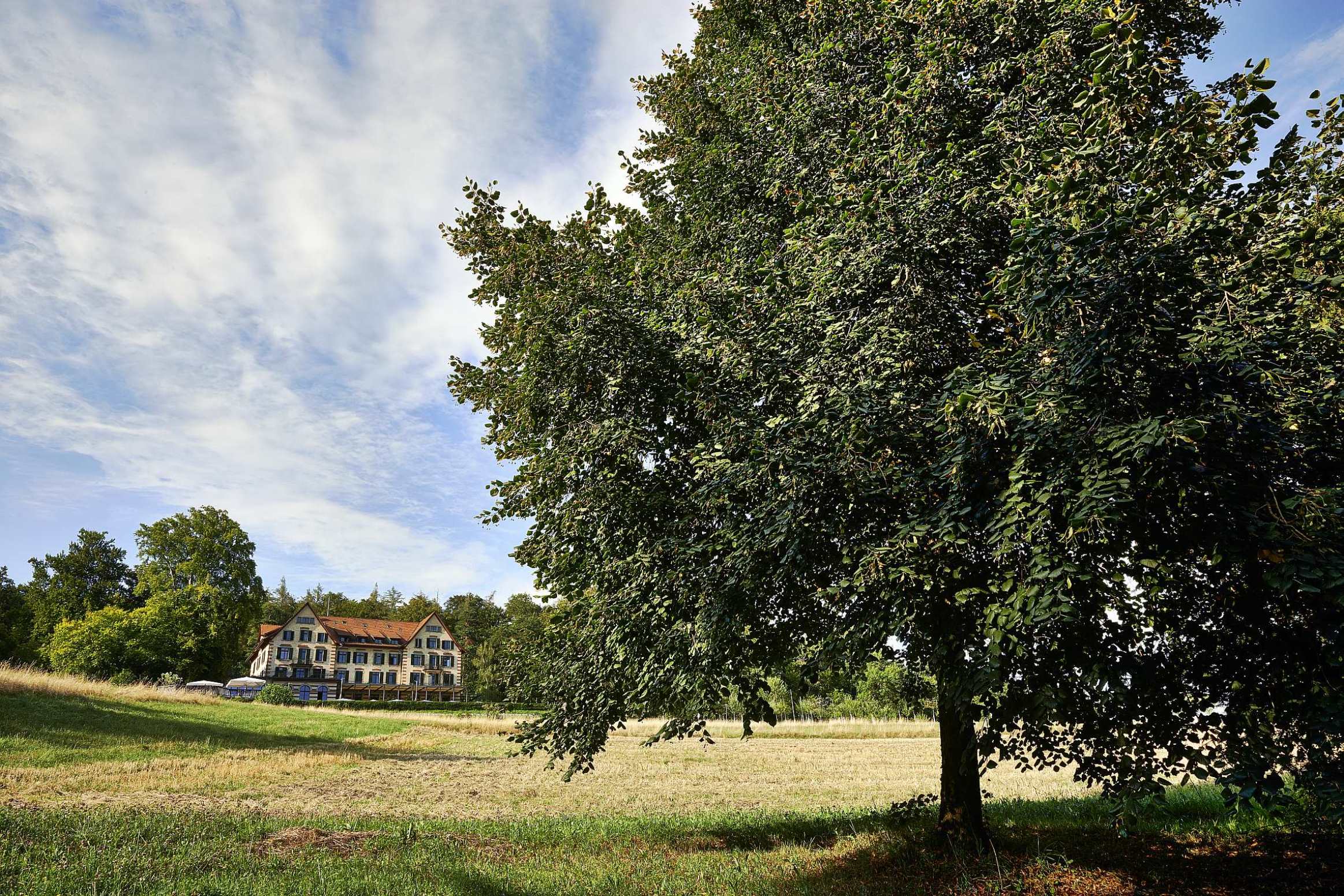 Aussenanlage Aussenanlage