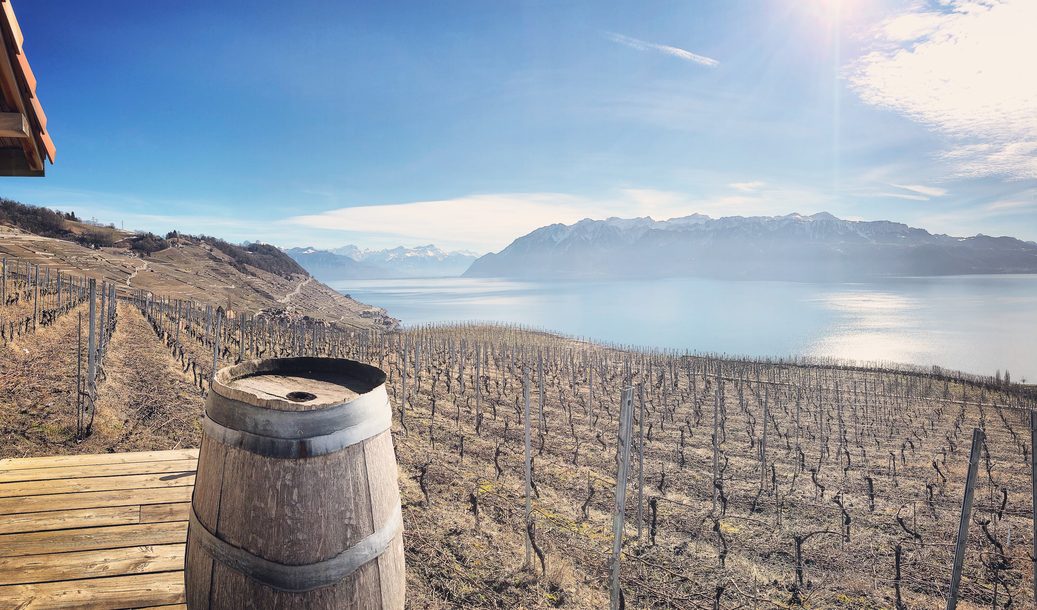 Vignoble de Lavaux Vignoble de Lavaux