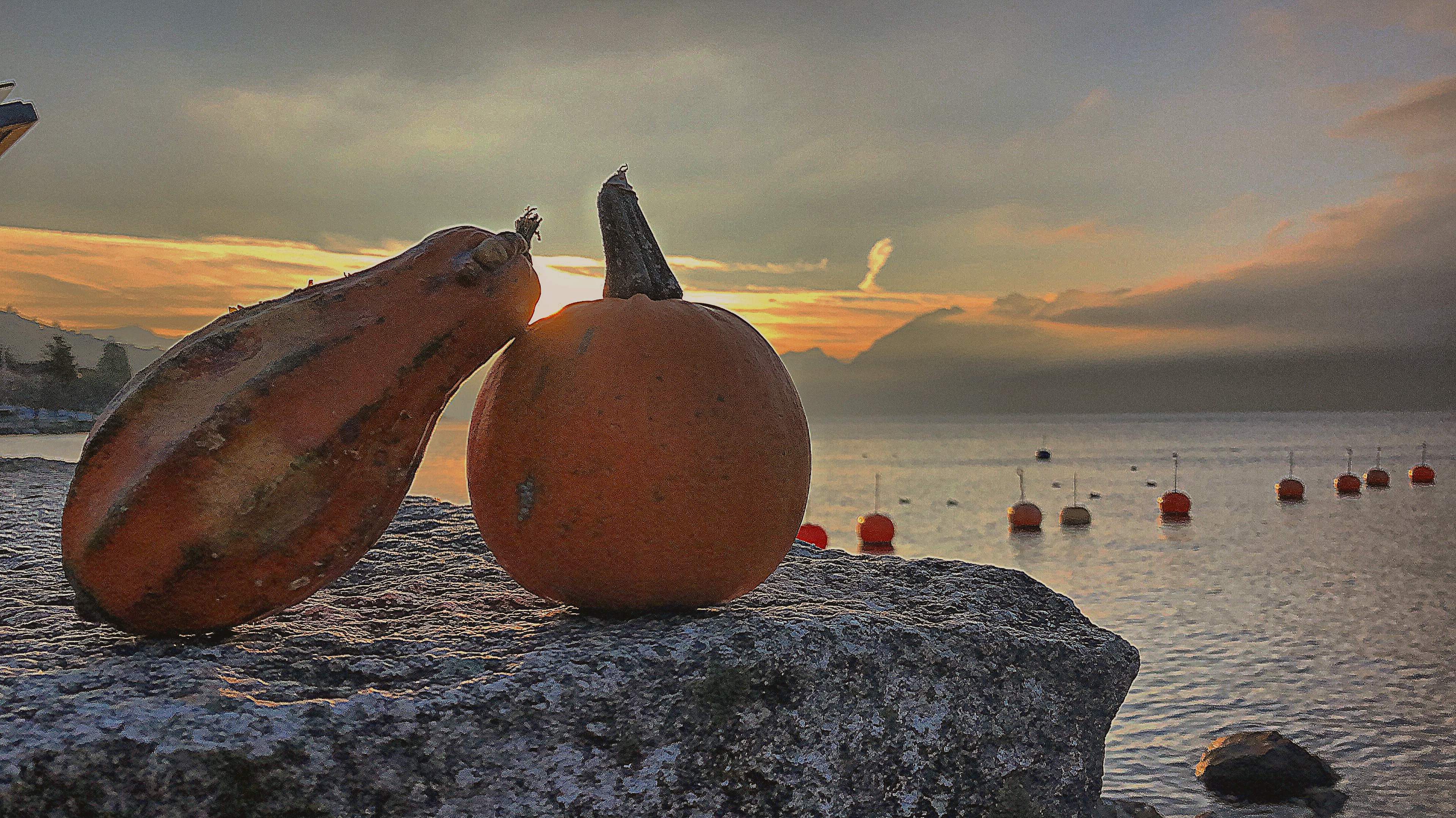 Le jeu dans les assiettes et dans vos yeux Le jeu dans les assiettes et dans vos yeux