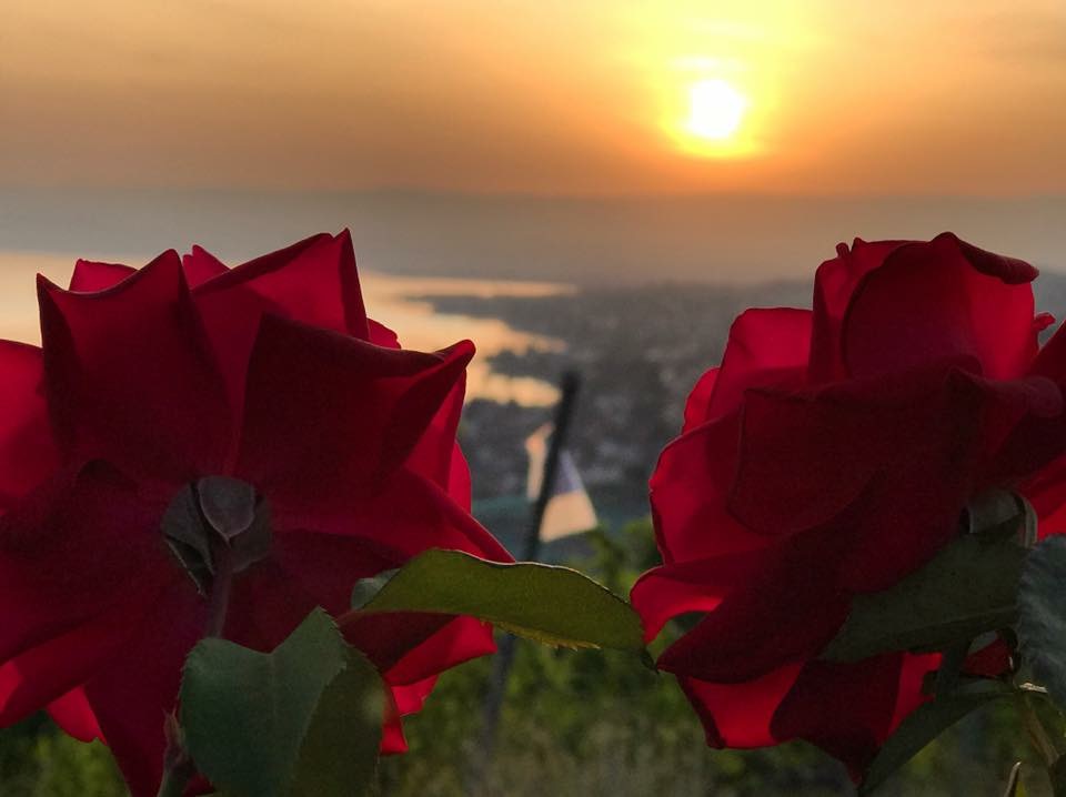 Verliebtes Lavaux Verliebtes Lavaux