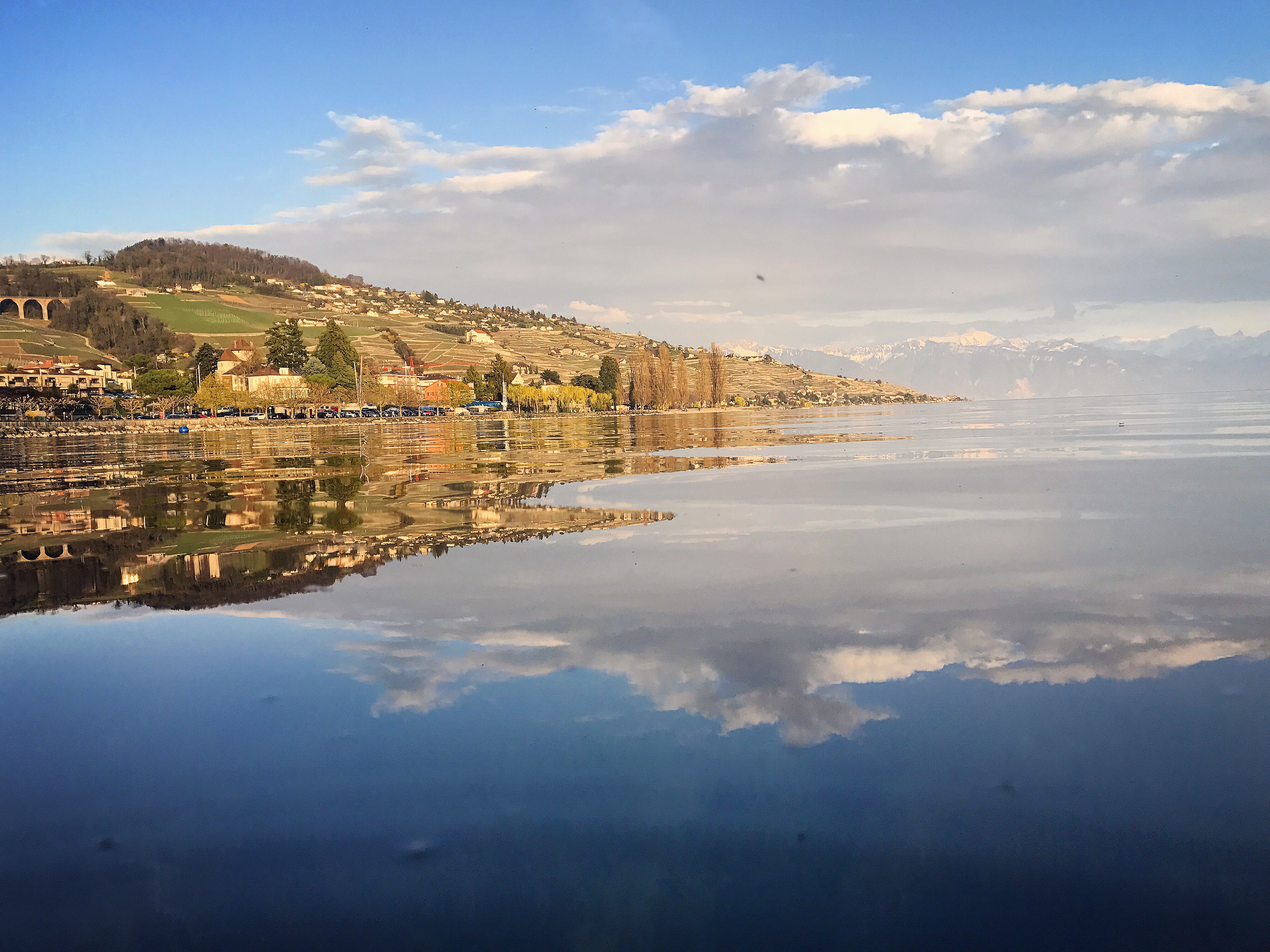 Lavaux Passion Lavaux Passion