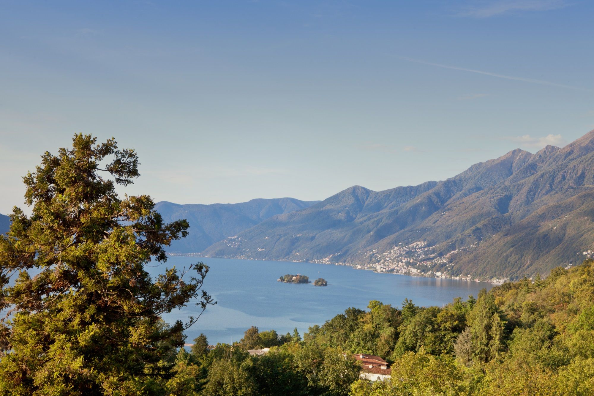 Hotel Fondazione Monte Verità – Bild