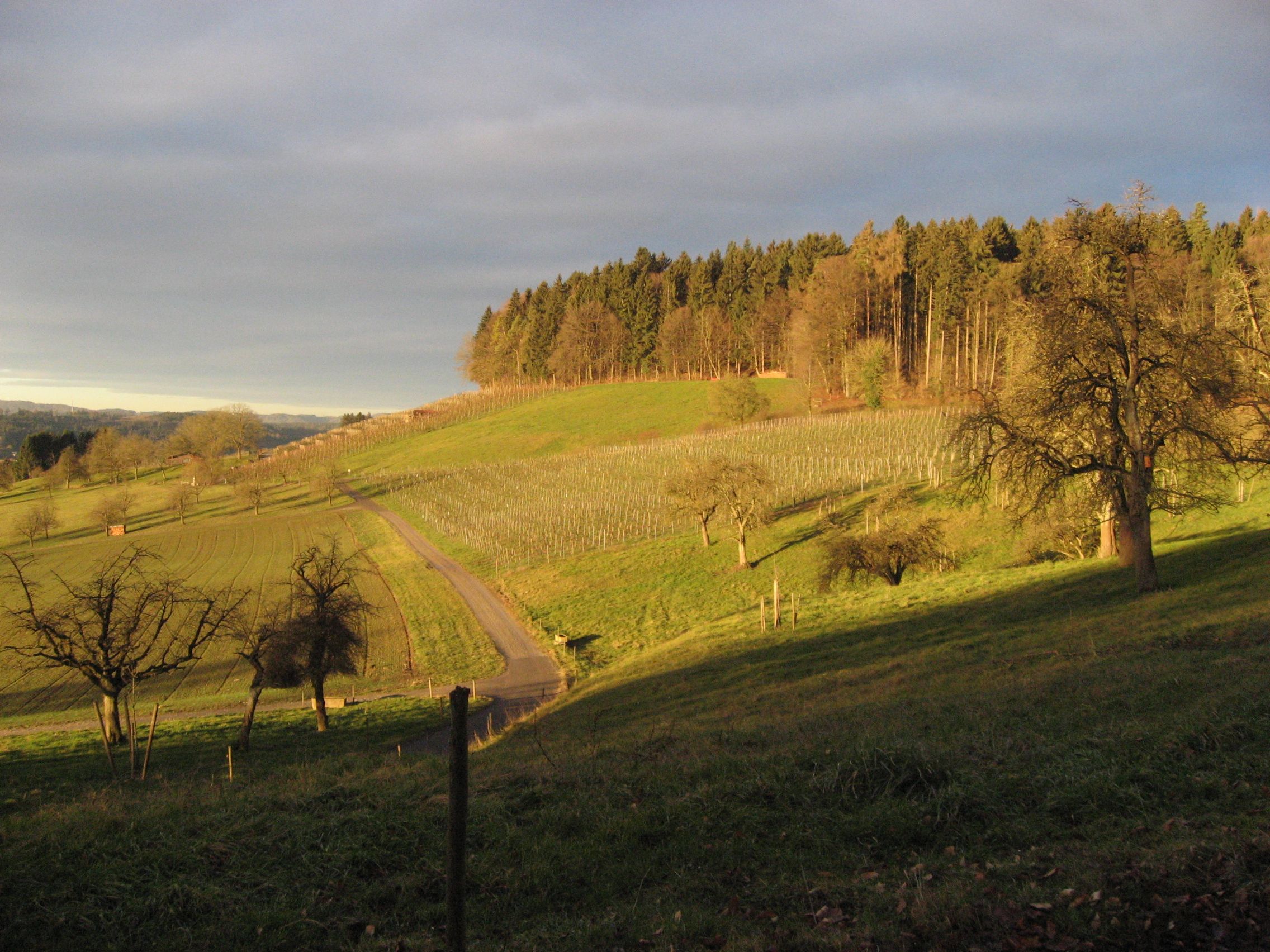 Gasthaus Schlosshalde – Bild