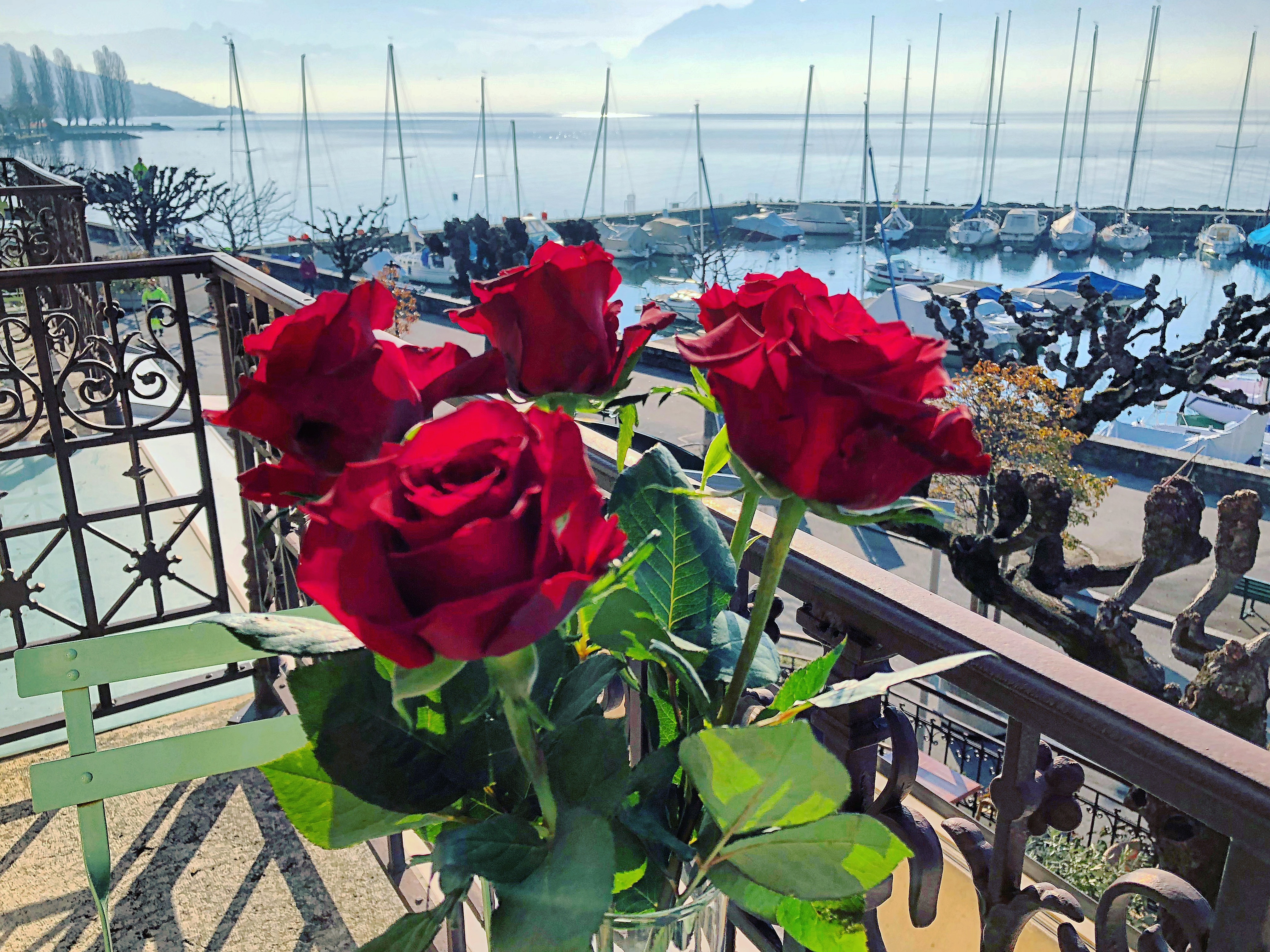 Bienvenue à l'Hôtel Lakeview Le Rivage Lutry-Lausanne Bienvenue à l'Hôtel Lakeview Le Rivage Lutry-Lausanne