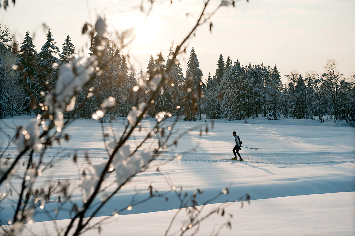 Aktivitäten im Eigenthal - Langlauf Aktivitäten im Eigenthal - Langlauf