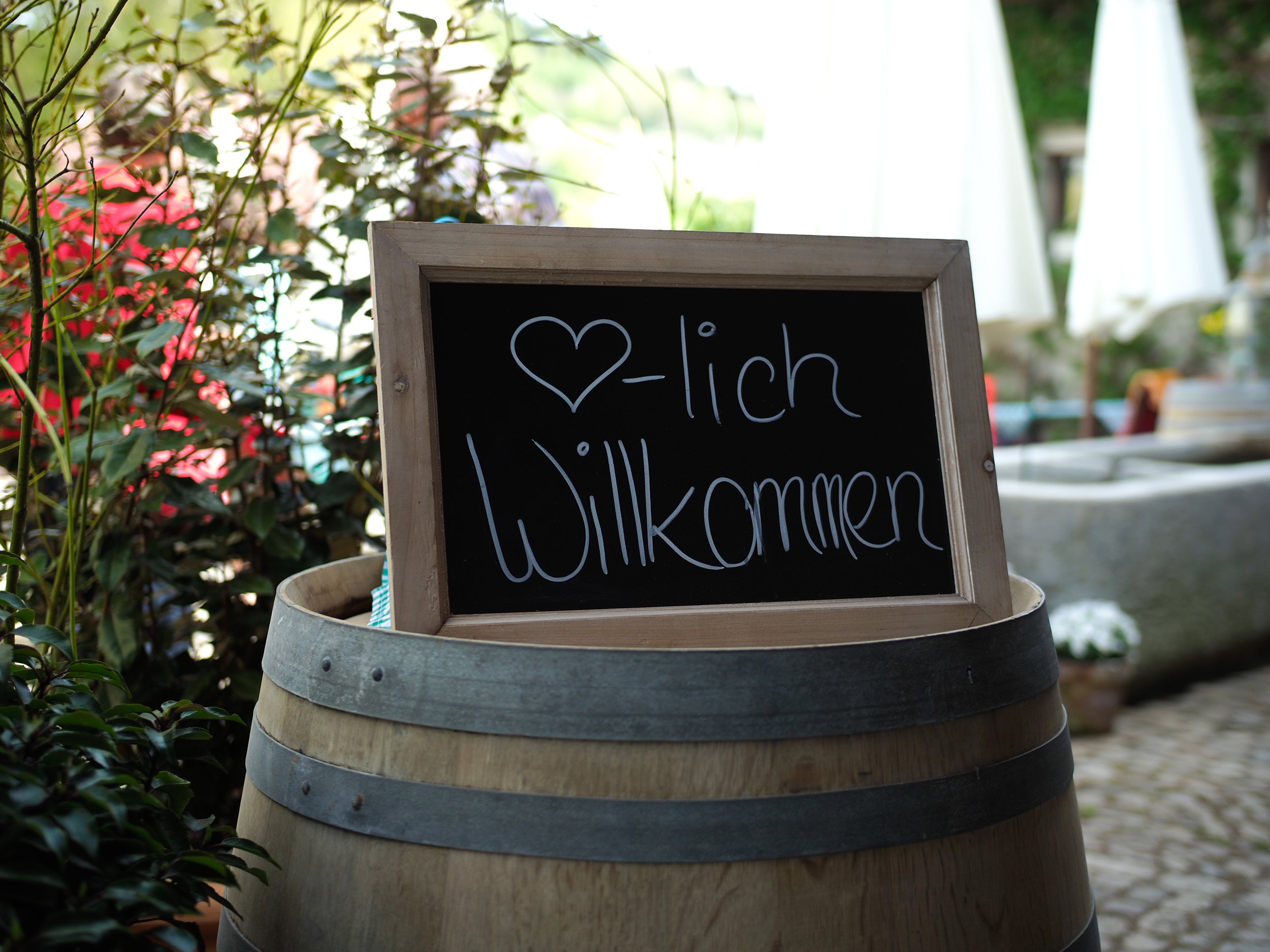 Bären Garten Bären Garten