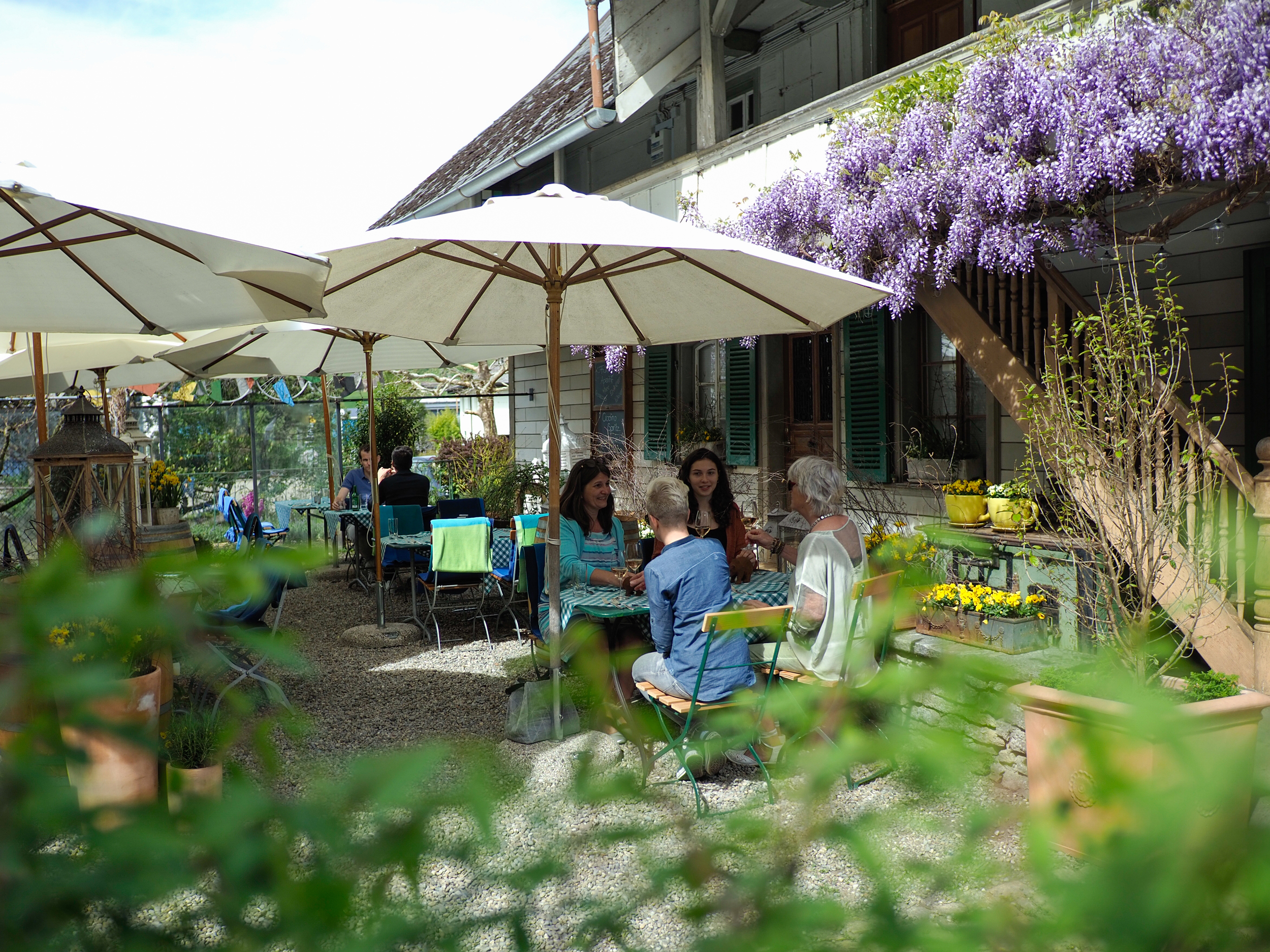 Bären Garten Bären Garten