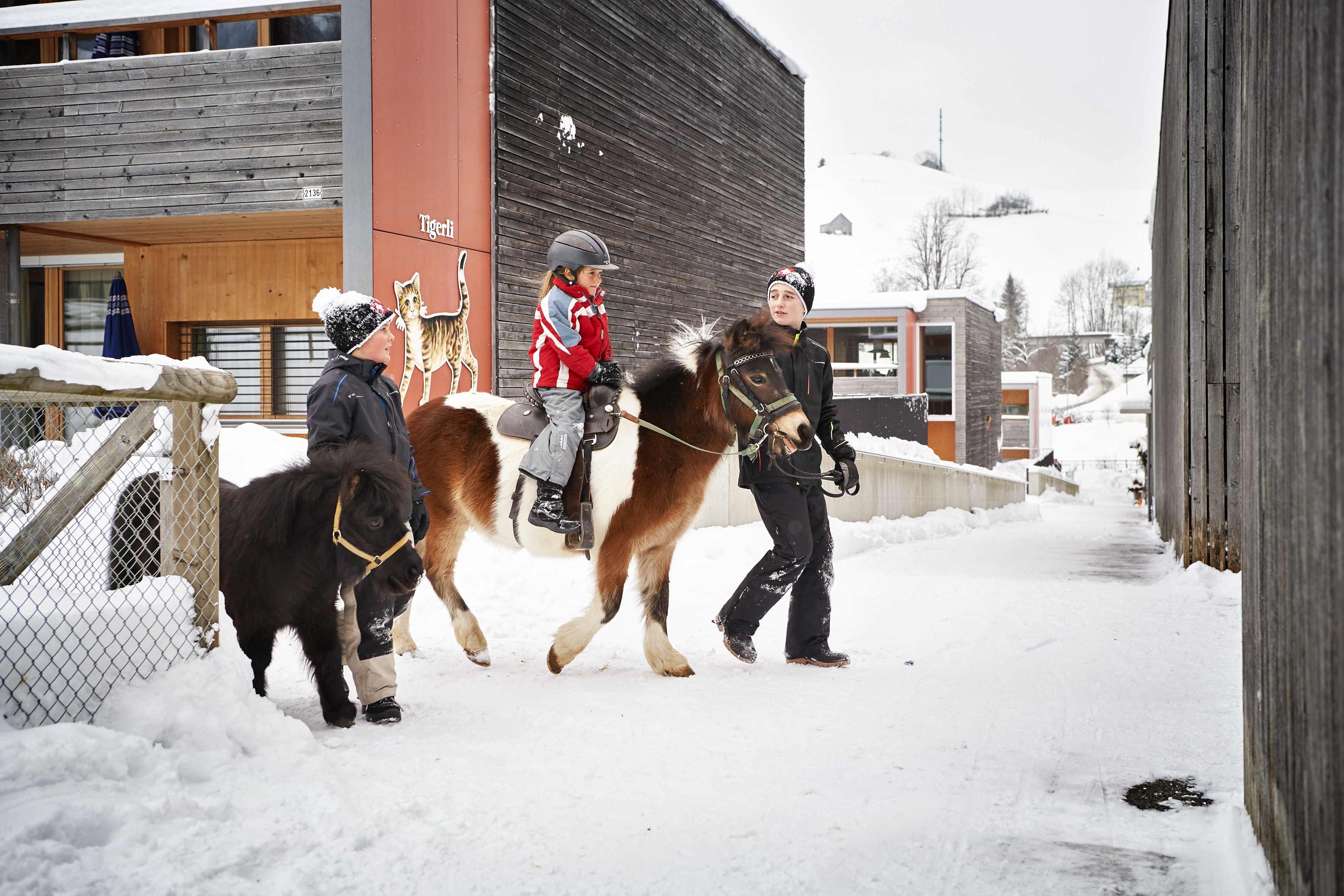 Reka-Feriendorf Urnäsch Reka-Feriendorf Urnäsch