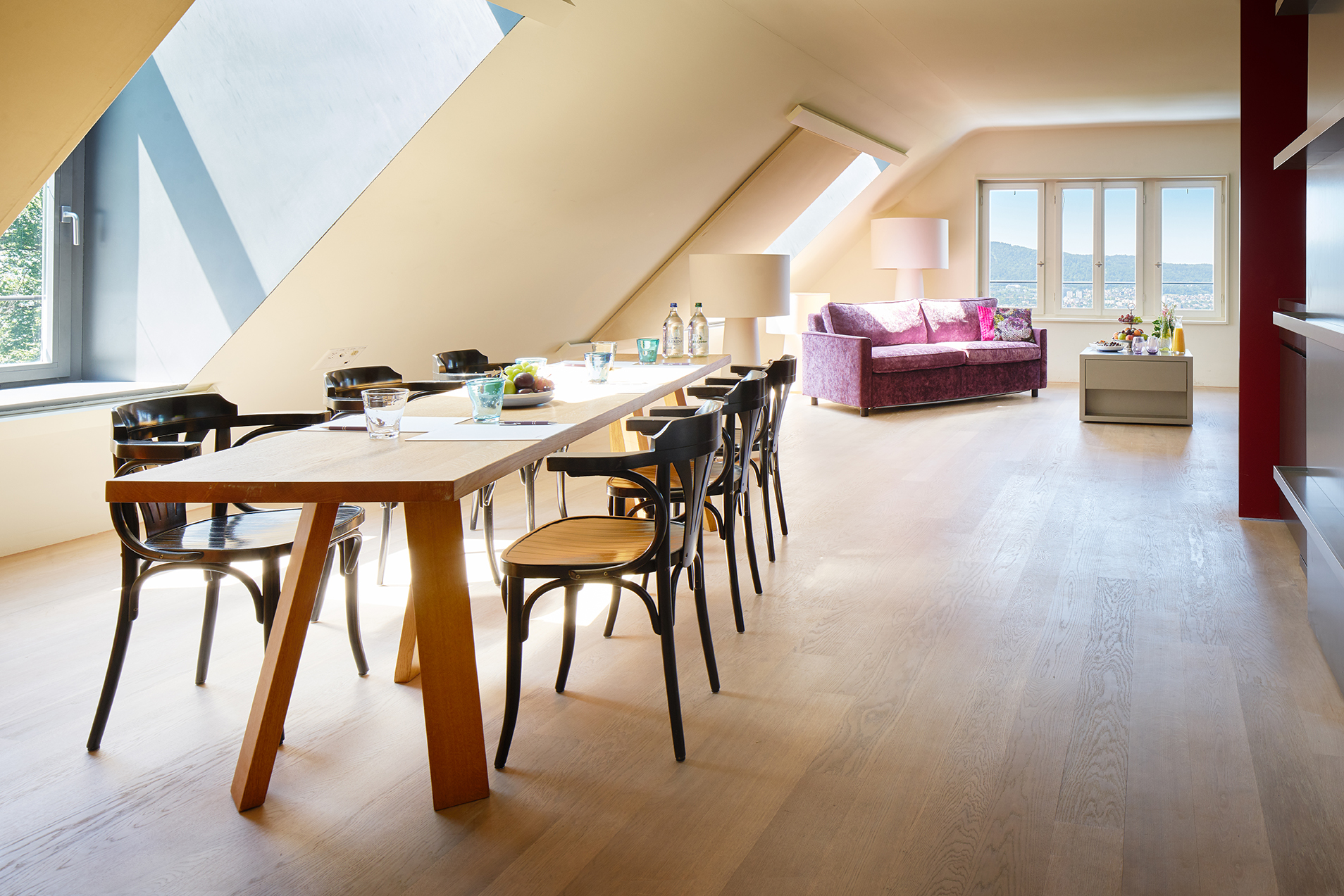 MICE - Suite Rigi MICE - Suite Rigi