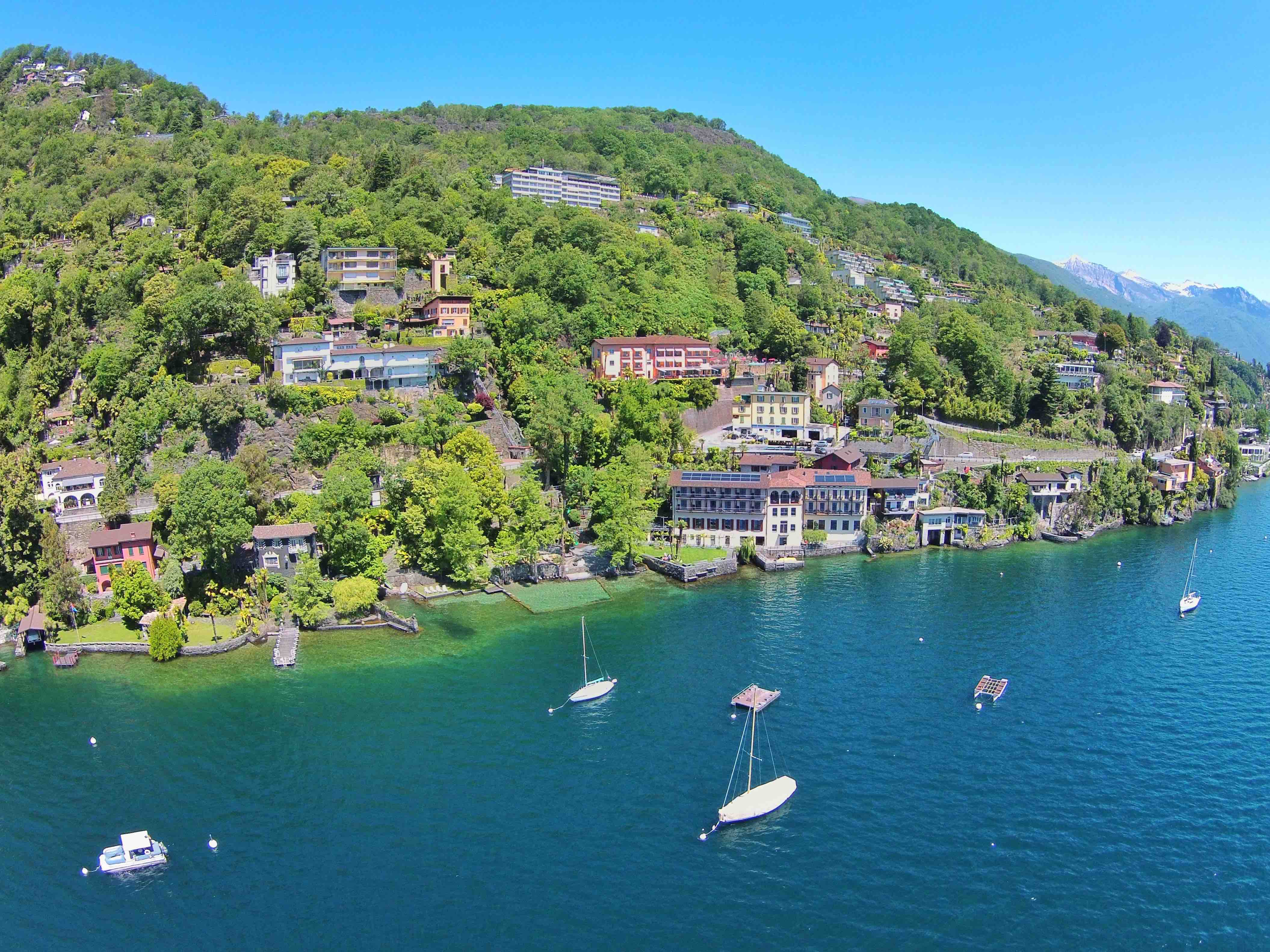 View from the lake View from the lake