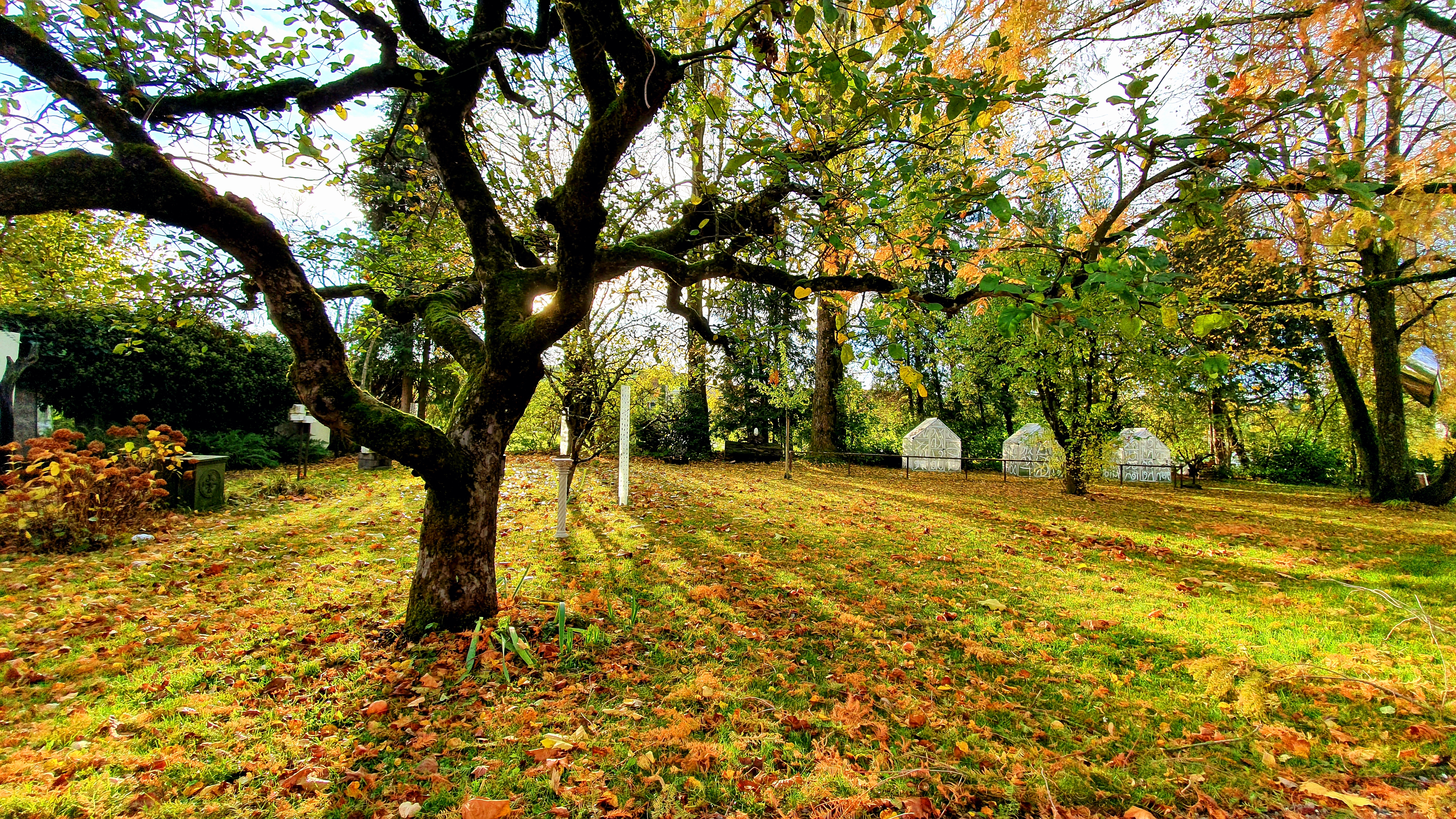Herbststimmung im Schlossgarten Herbststimmung im Schlossgarten