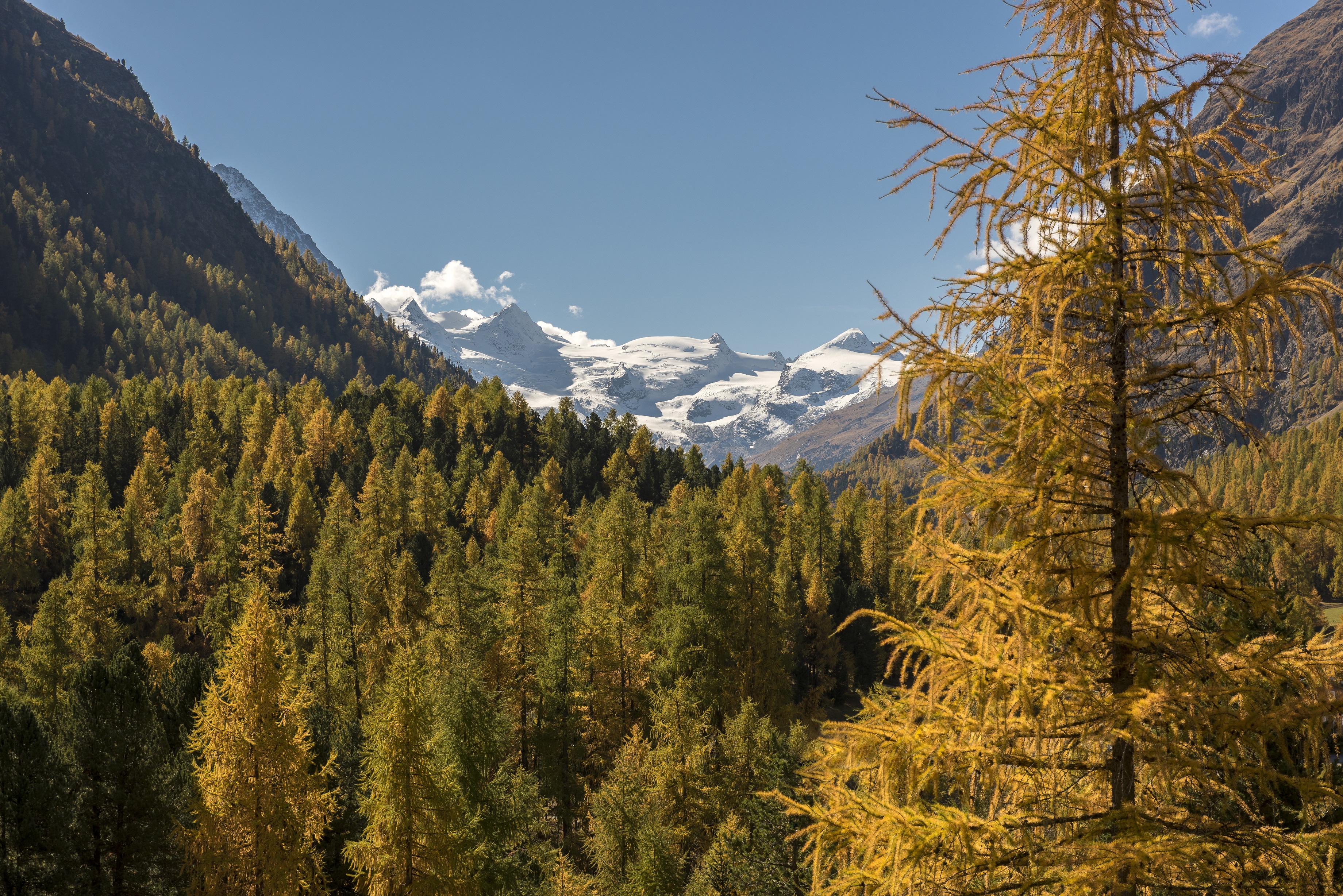 Junior Suite Junior Suite