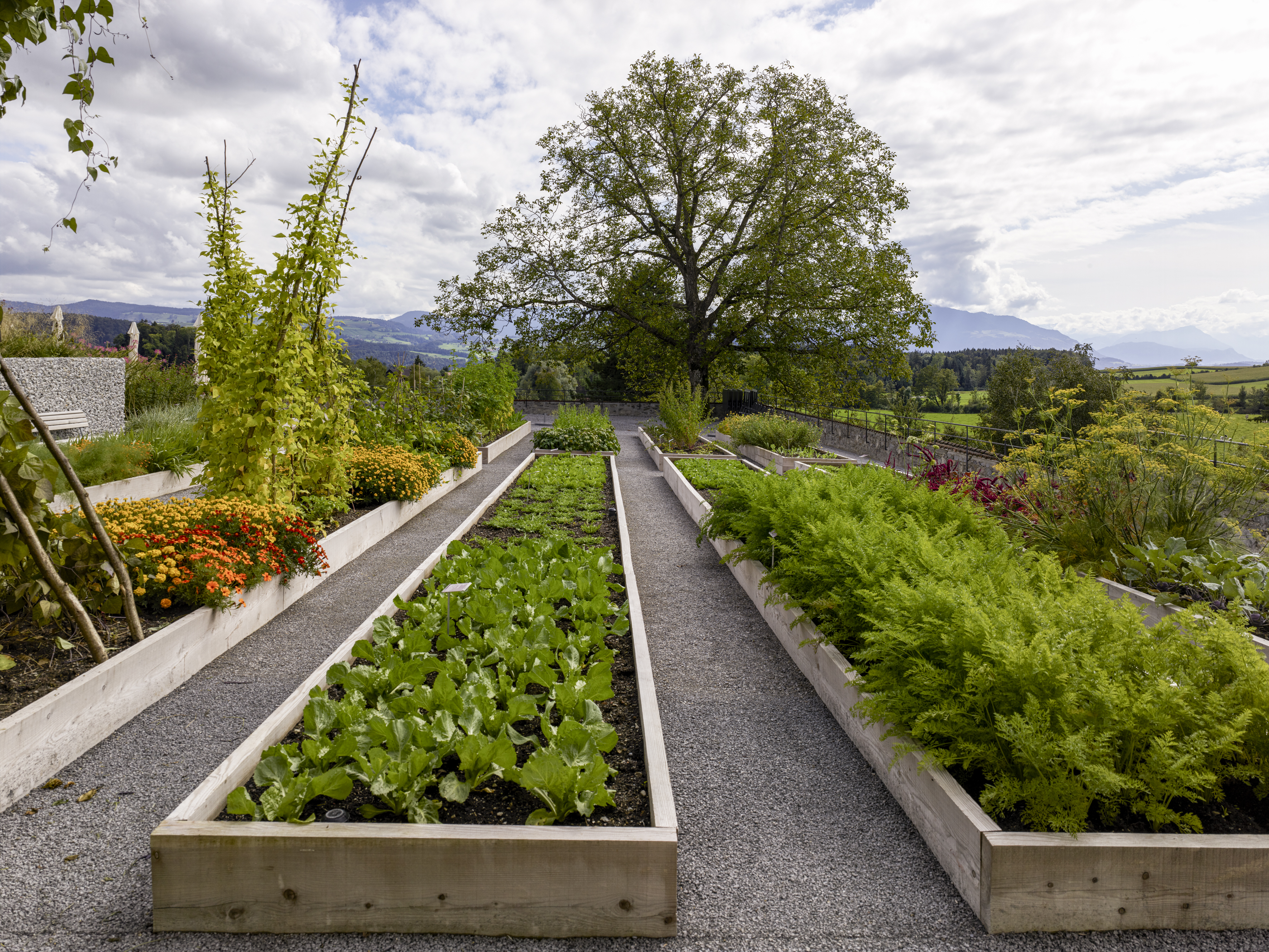 ProSpecieRara Klostergarten ProSpecieRara Klostergarten