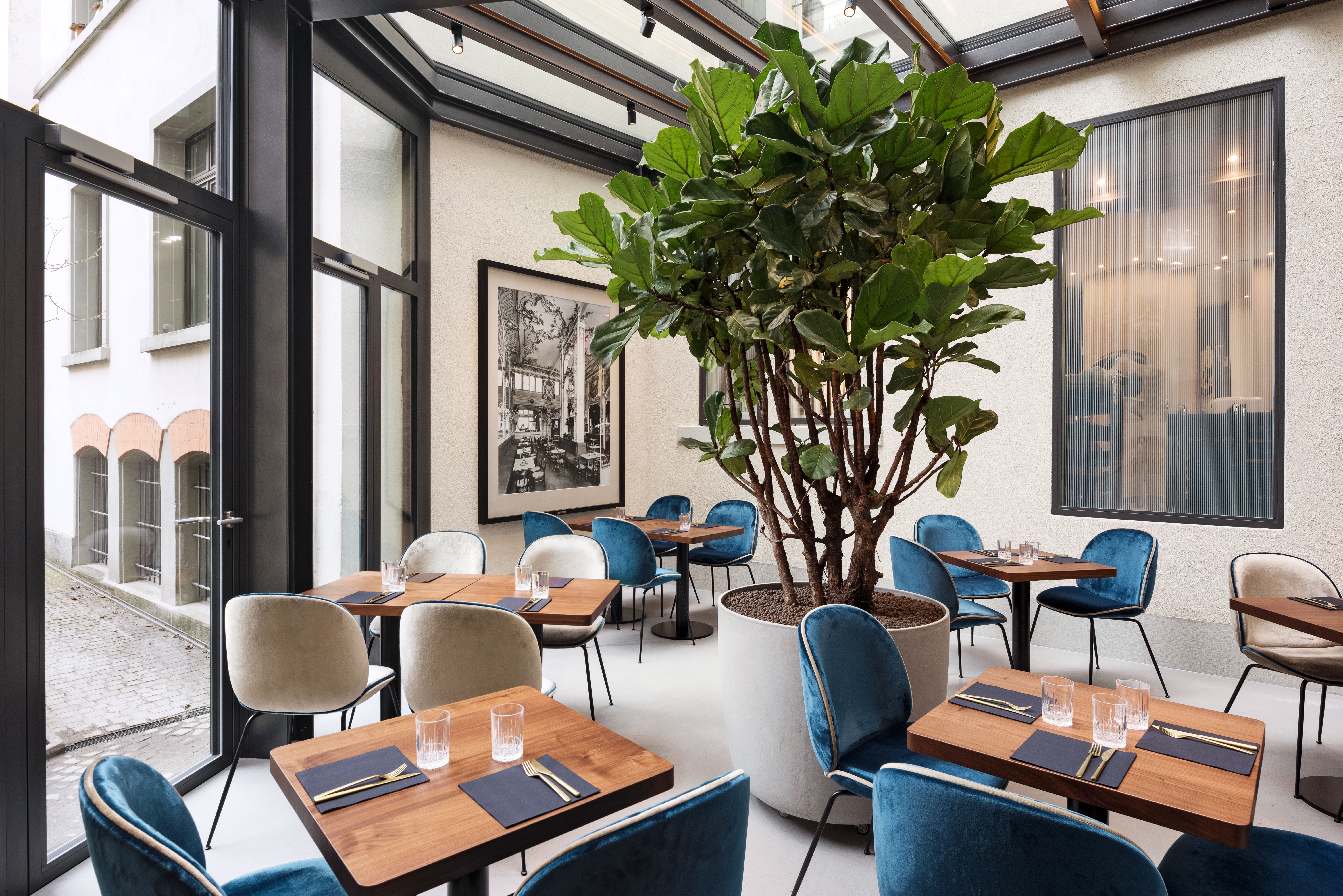 Winter Garden Winter Garden