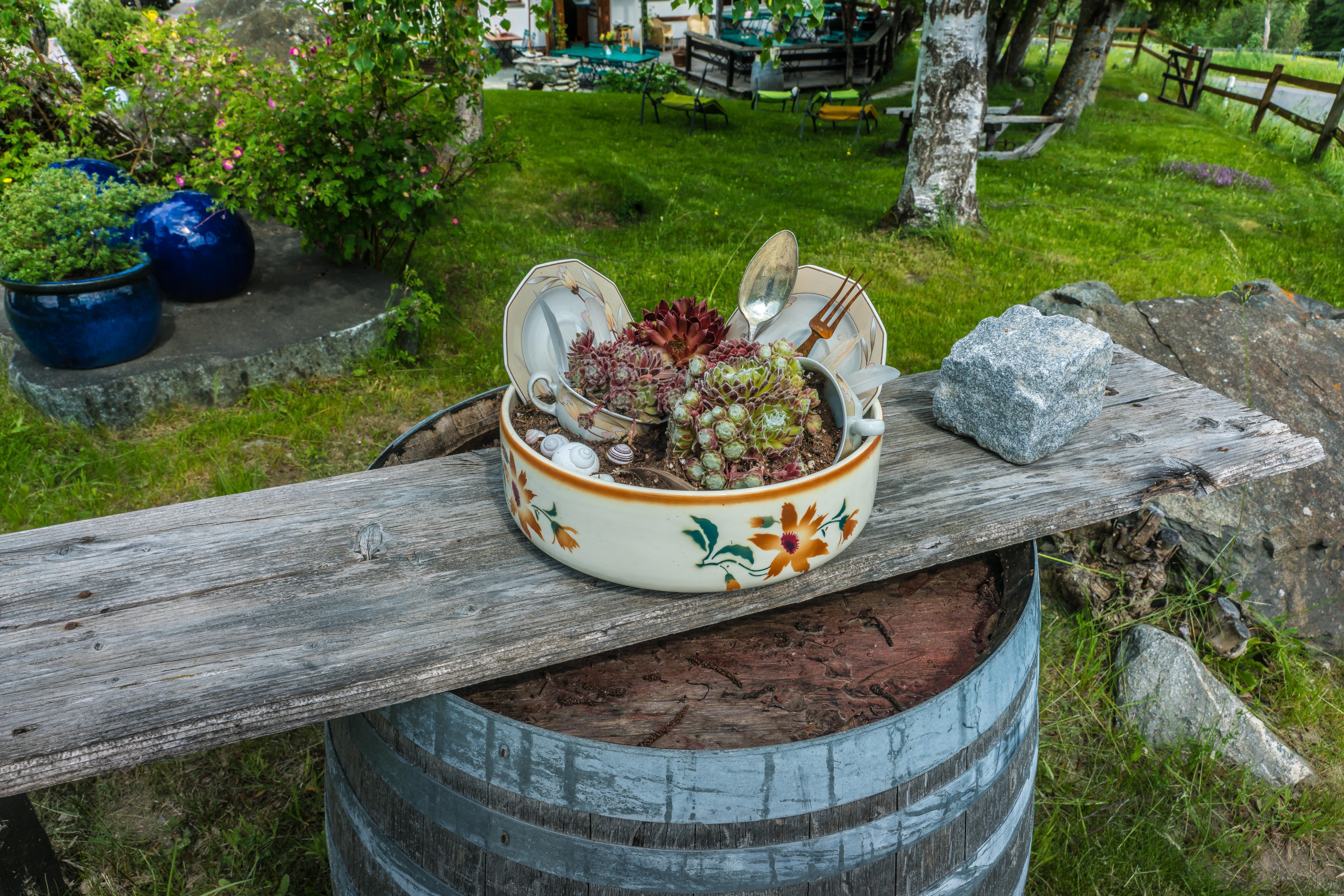 Hotel Ucliva – image