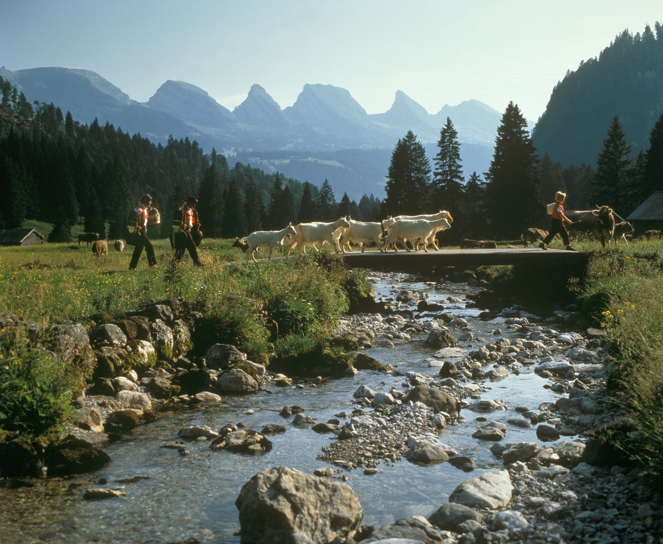 Hotel Sternen – Bild